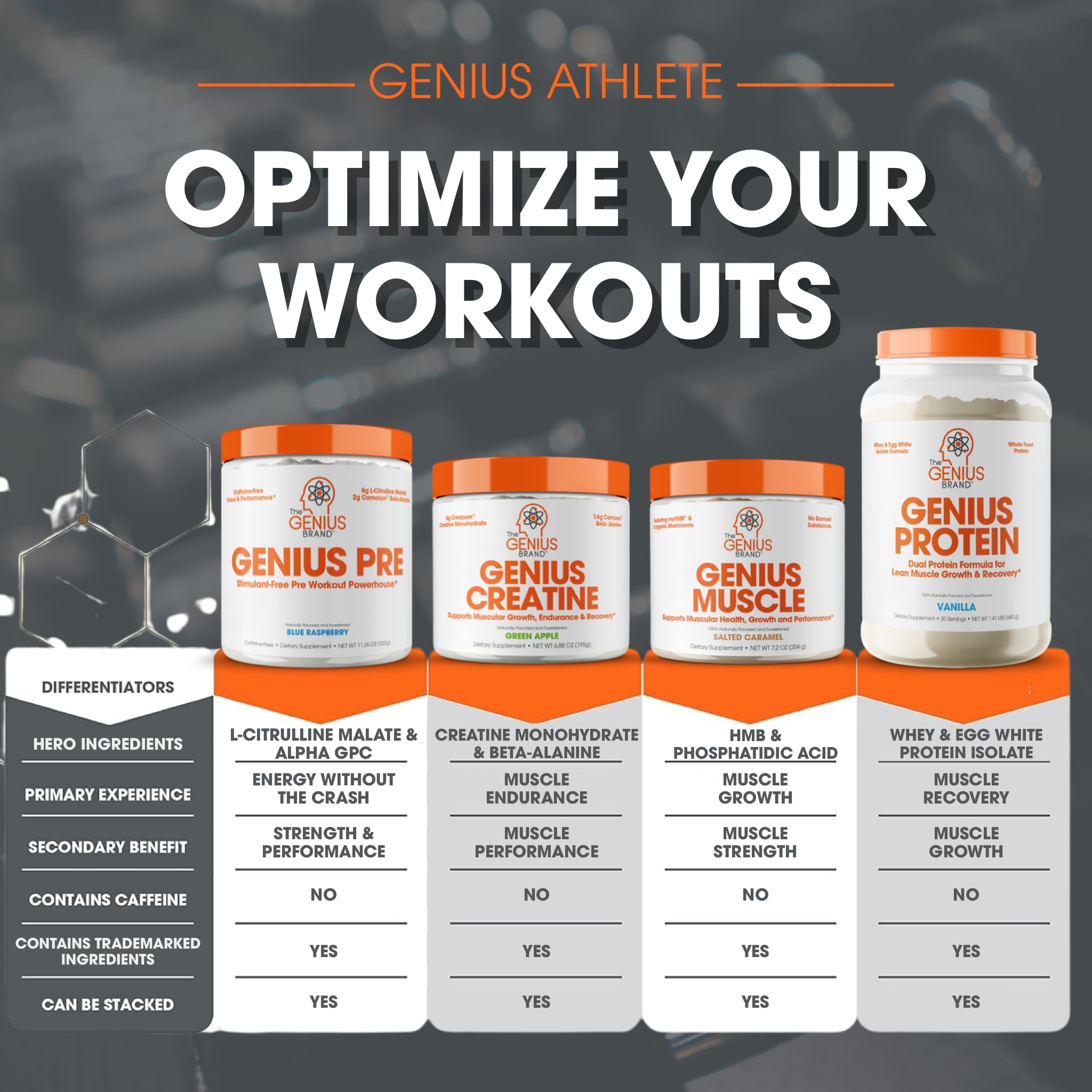 Genius Pre Workout Powder, Blue Razz, and Genius Micronized Creatine Monohydrate The Genius Brand buy supplements canada