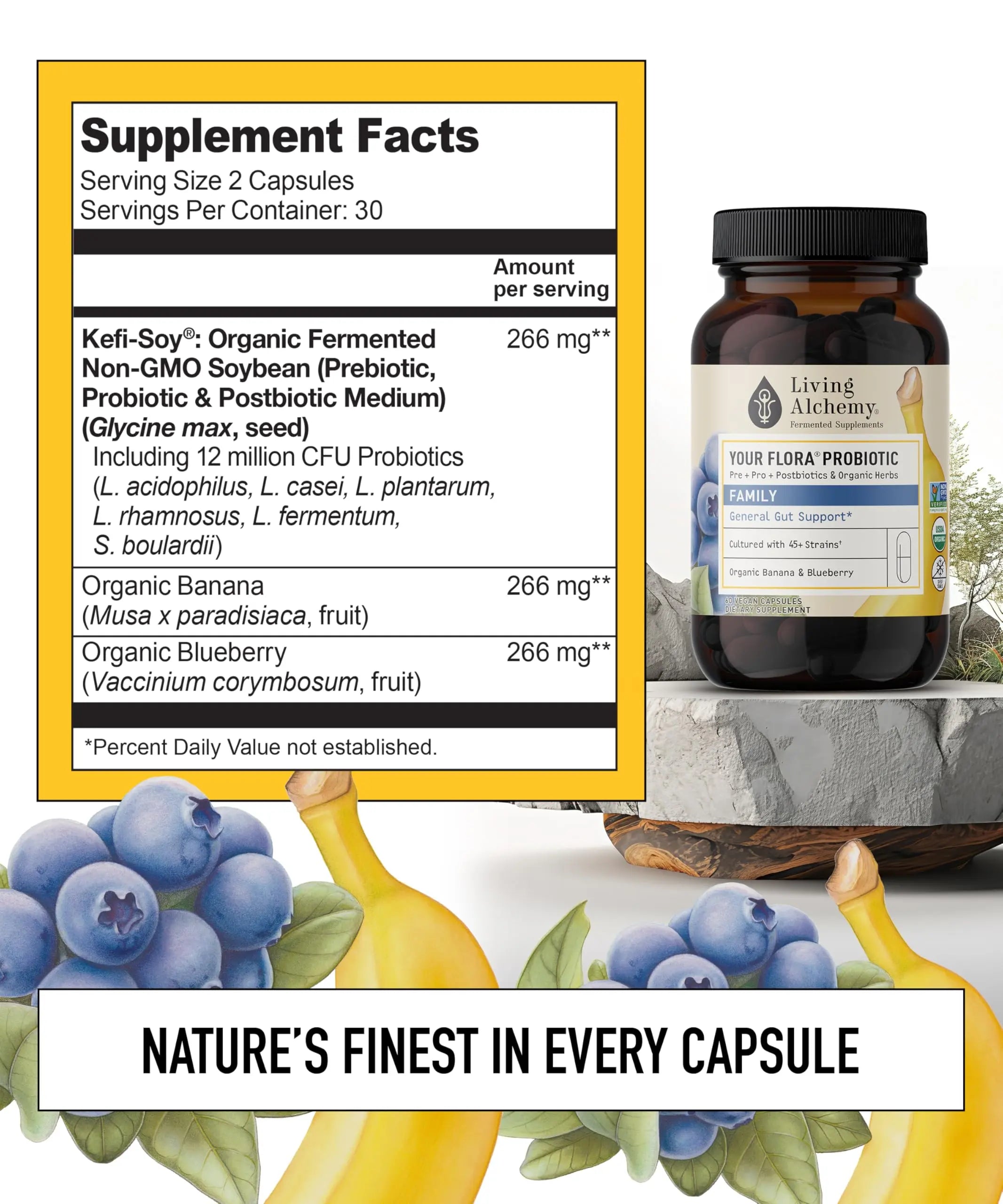 Your Flora Probiotic Family – Non-GMO Probiotics with Fermented Soybean, Banana, & Blueberry for Digestion & Gut Support – Prebiotics, Postbiotics, Digestive Enzymes – Living Alchemy, 60 Capsules Living Alchemy buy supplements canada