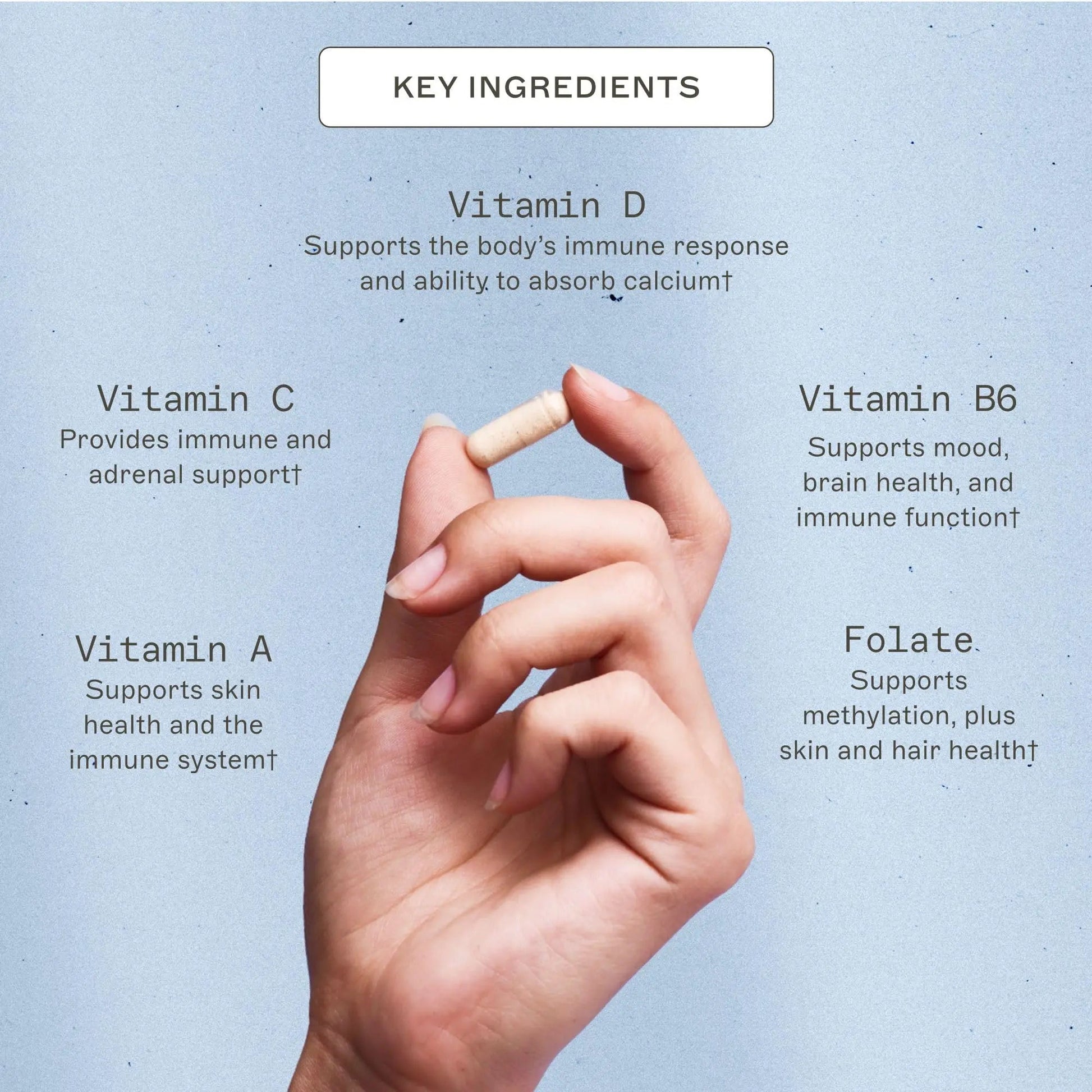 Amy Myers MD The Myers Way Multivitamin - Supports Healthy Immune, Thyroid & Adrenal Function Amy Myers MD buy supplements canada
