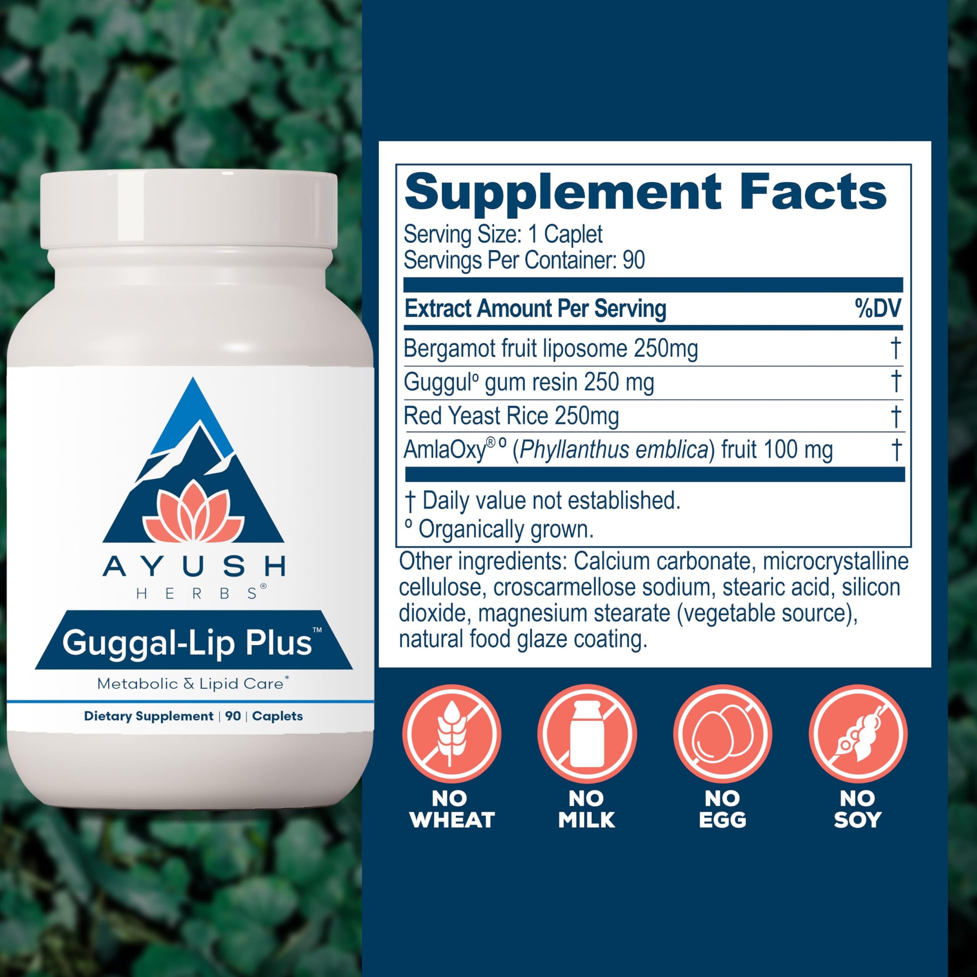 Ayush Herbs Guggal-Lip Plus - Metabolic Vitamins for Women & Men, Daily Pill, Pure & Natural Metabolic Health Supplement with Guggul - 90 Vegetarian Caplets (1 Count) Ayush Herbs buy supplements canada