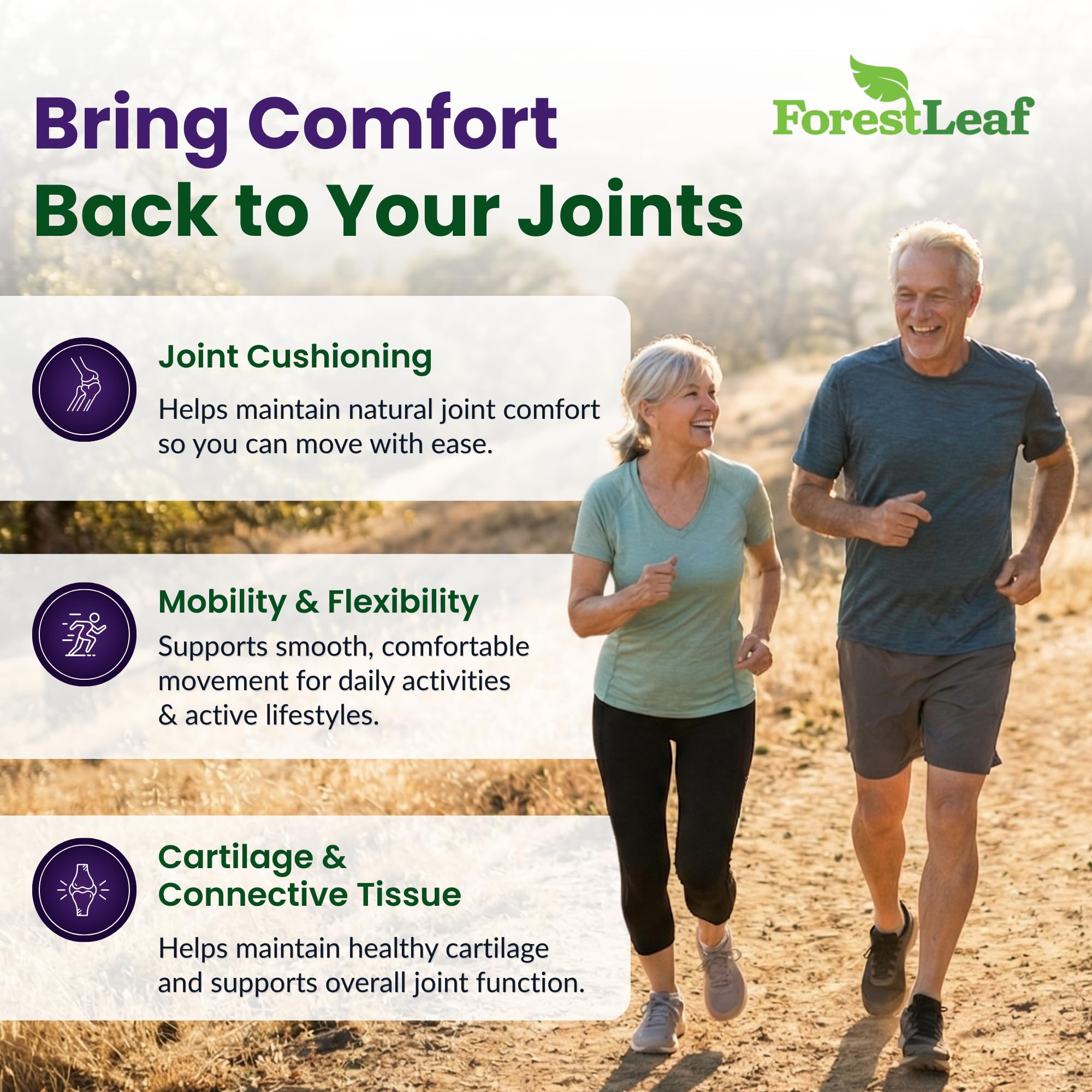 ForestLeaf Glucosamine Chondroitin MSM Joint Supplement Complex - 1200mg - 120 Caps ForestLeaf buy supplements canada