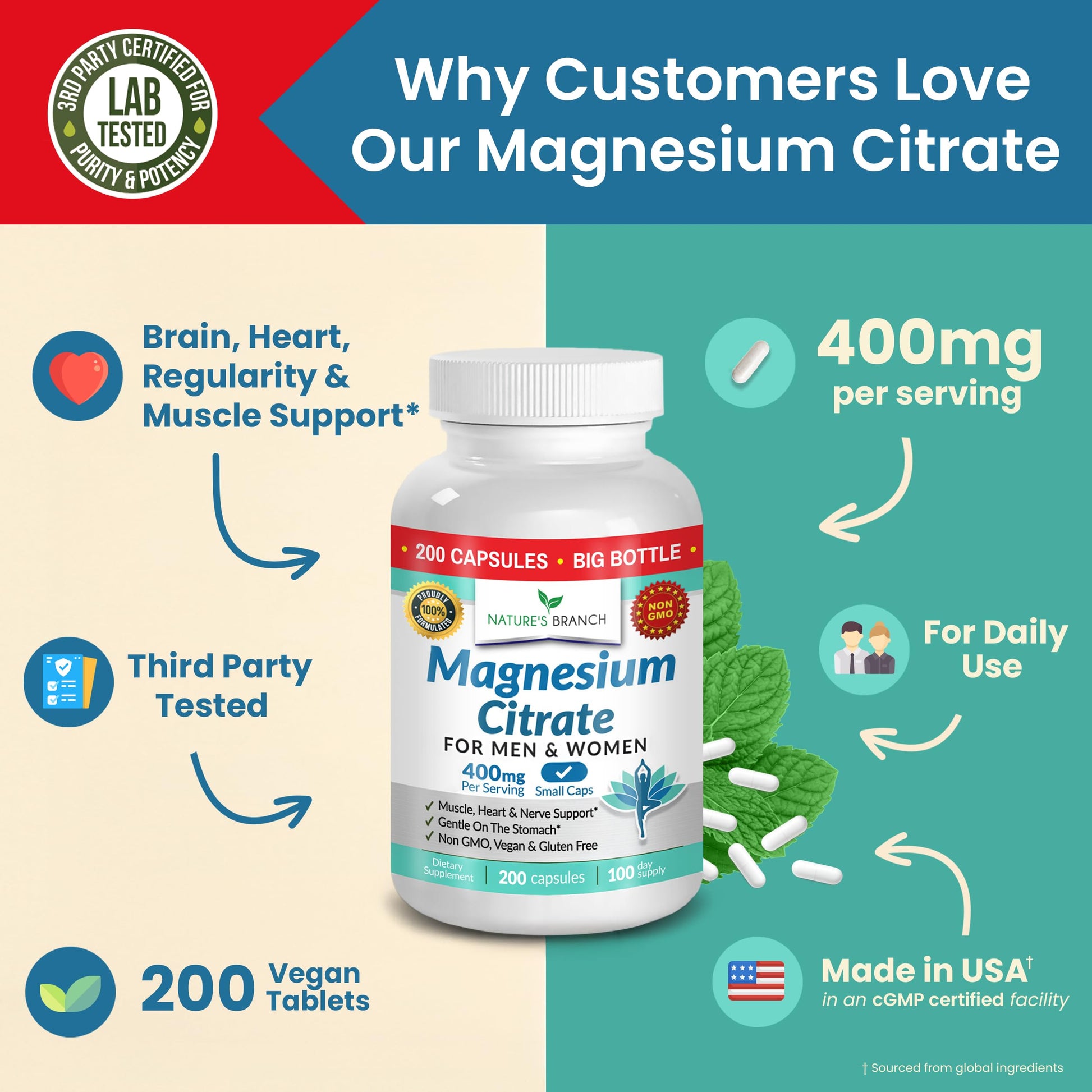 Magnesium Citrate 400mg | 200 Capsules, High Absorption for Sleep, Relax, Leg Cramps, Energy, Extra Strength Easy to Swallow Small Pills for Women & Men, Vegan Supplement for Digestion, Not Tablets NATURE'S BRANCH buy supplements canada