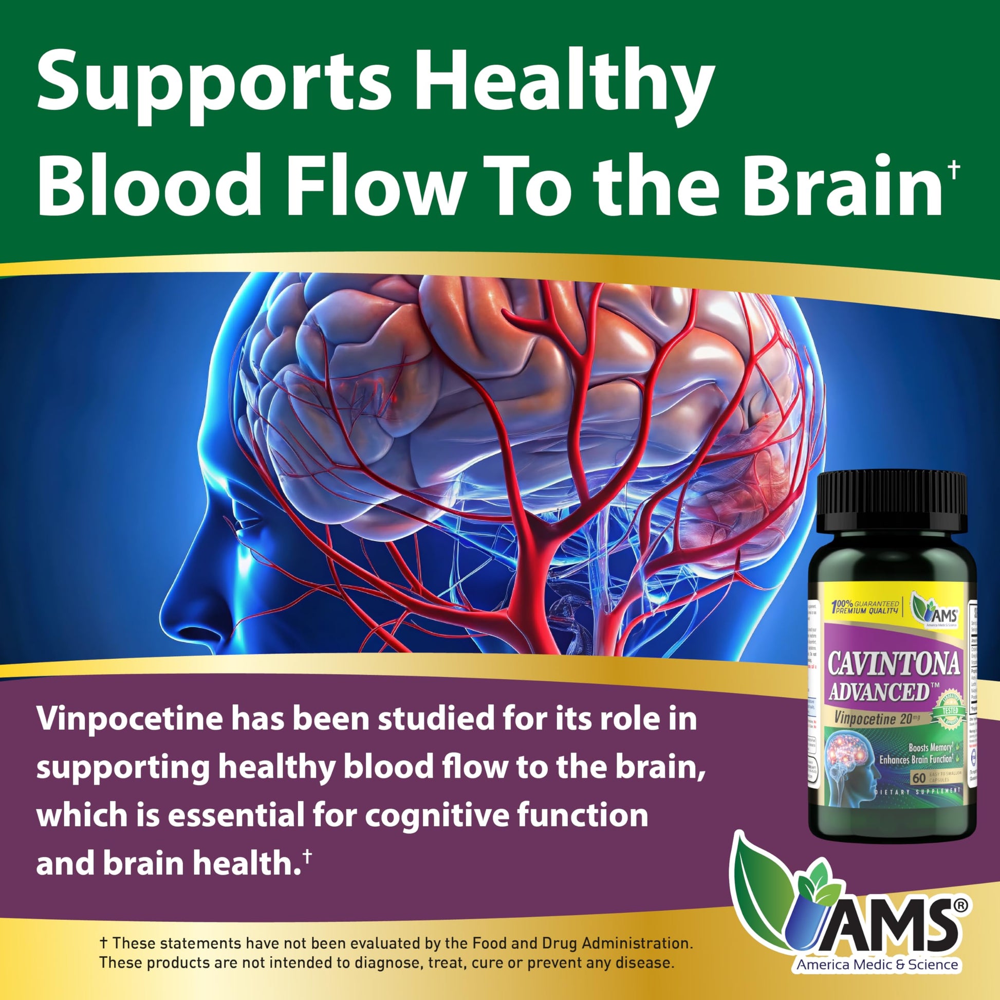 America Medic & Science Cavintona Advanced Supplement – Vinpocetine 20mg for Memory, Recall & Brain Health – Supports Cognitive Function, Focus, Mental Clarity & Blood Flow – 60 Capsules America Medic & Science buy supplements canada