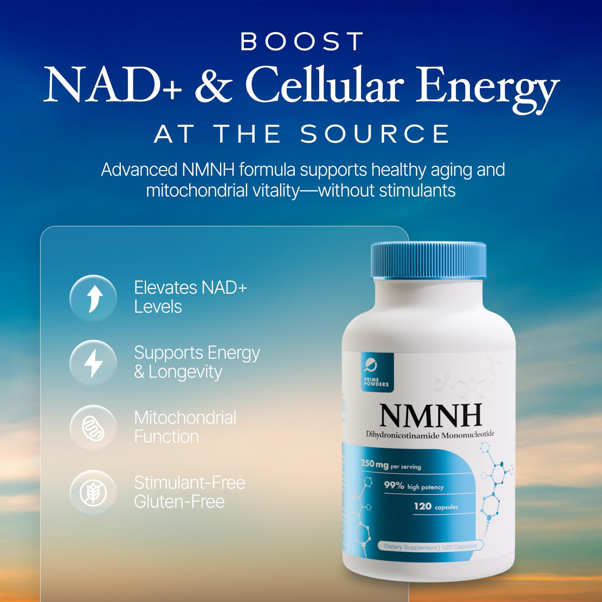 Prime Powders NMNH: Dihydronicotinamide Mononucleotide (120 Capsules) NAD+ Support NR NAD Supplement Prime Powders buy supplements canada