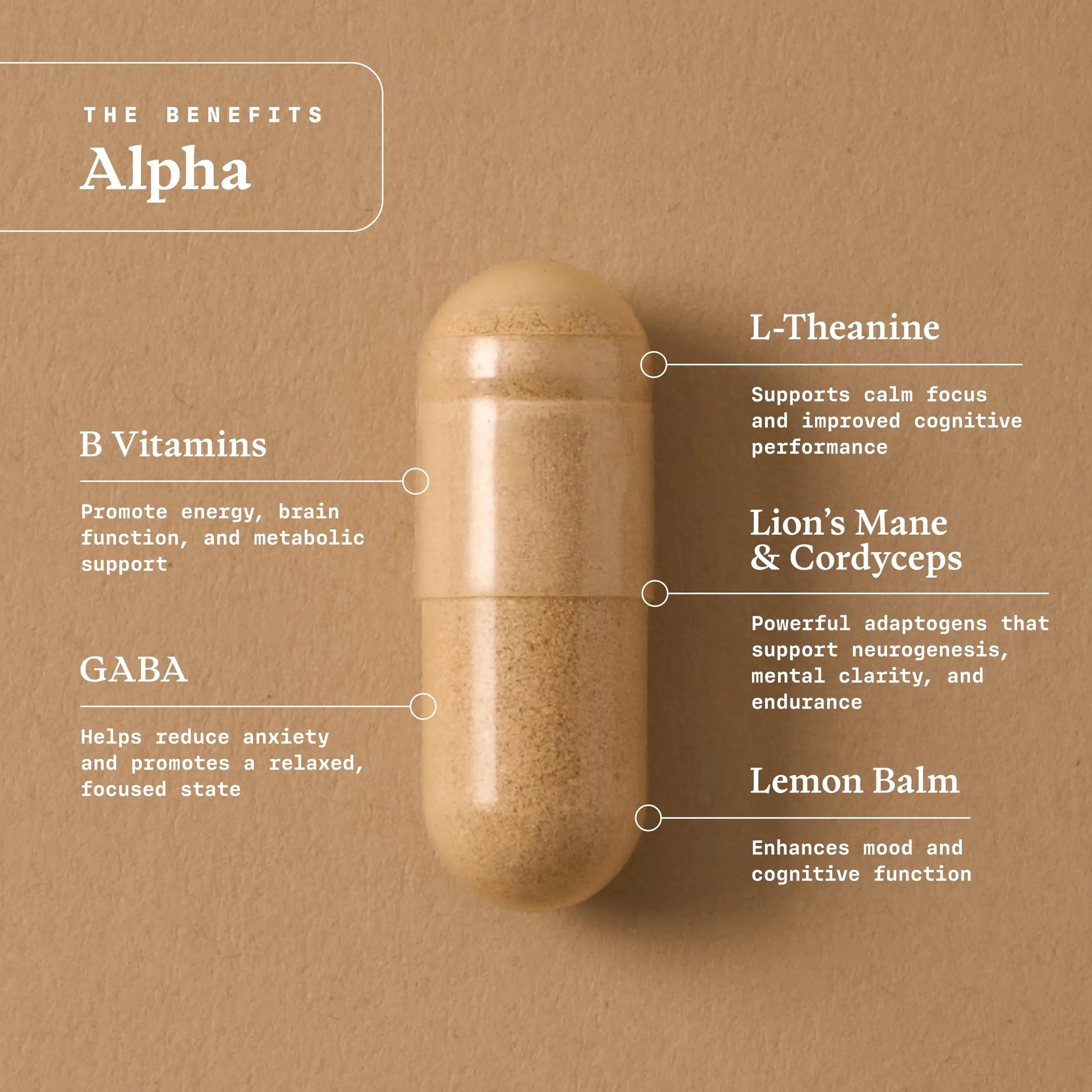 Ultra Life Sport - Alpha Nootropic - 30 Capsule Body and Brain Supplements for Memory and Focus - L-Theanine, B Vitamins, Lion's Mane, Cordyceps Mushrooms, Vitamin D3, K2 MK-7, Lemon Balm and Ginkgo Ultra Life Sport buy supplements canada