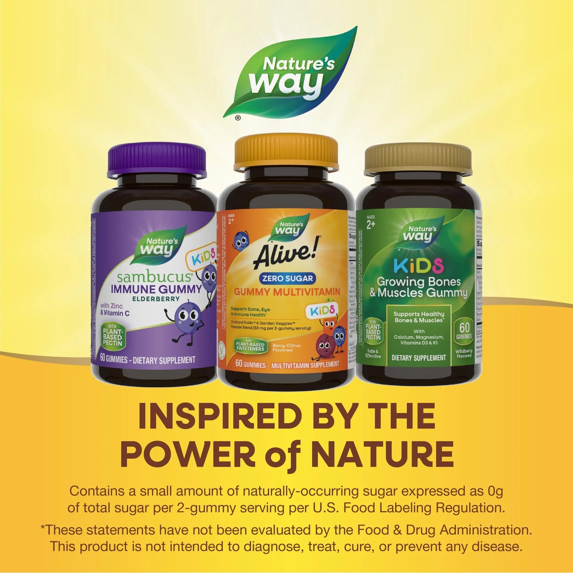 Nature’s Way Alive! Kids Zero Sugar Gummy Multivitamins, for Kids Ages 2+, Supports Bone, Eye & Immune Health Nature's Way buy supplements canada