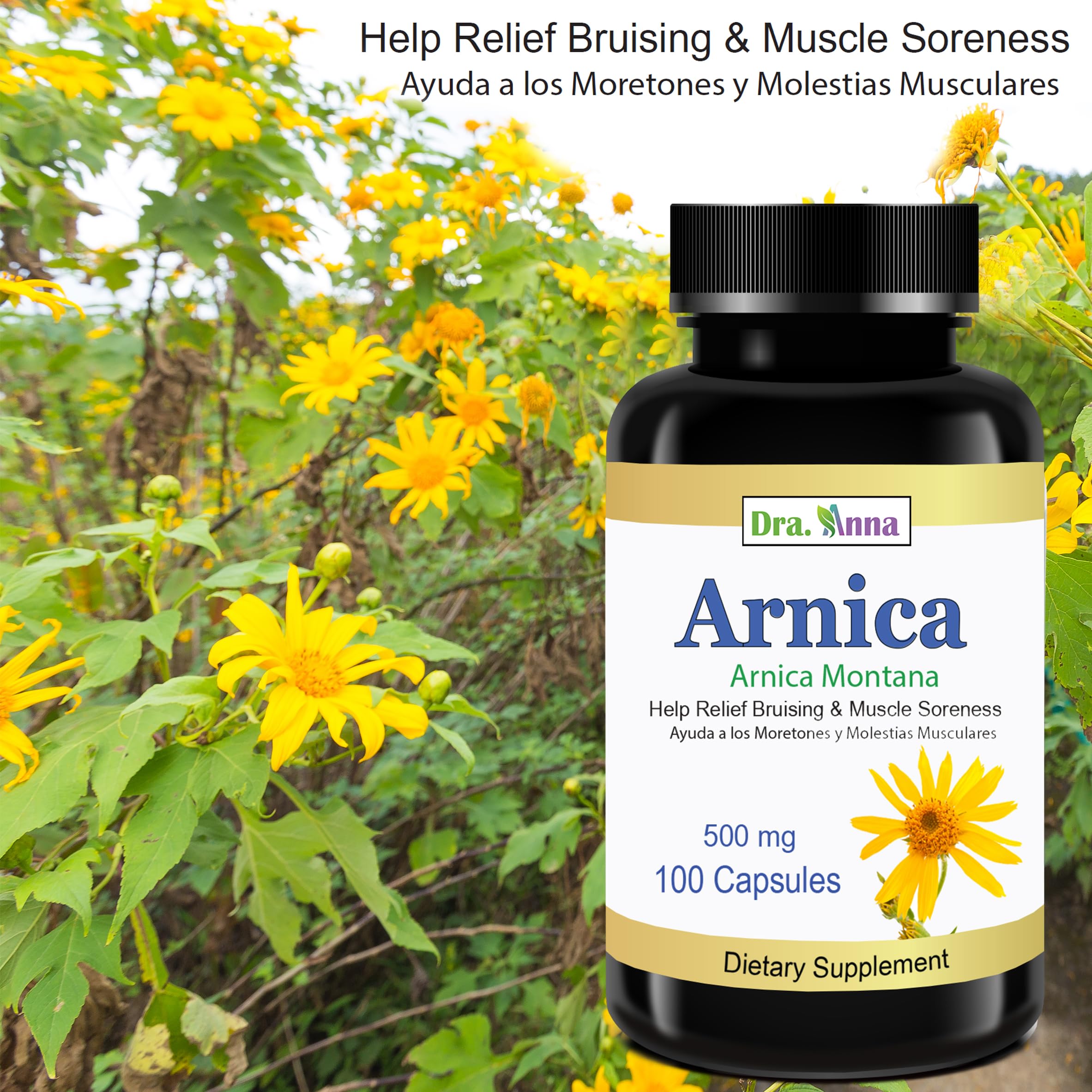 Arnica Montana Capsules 500mg 100 Capsules DRA. ANNA buy supplements canada