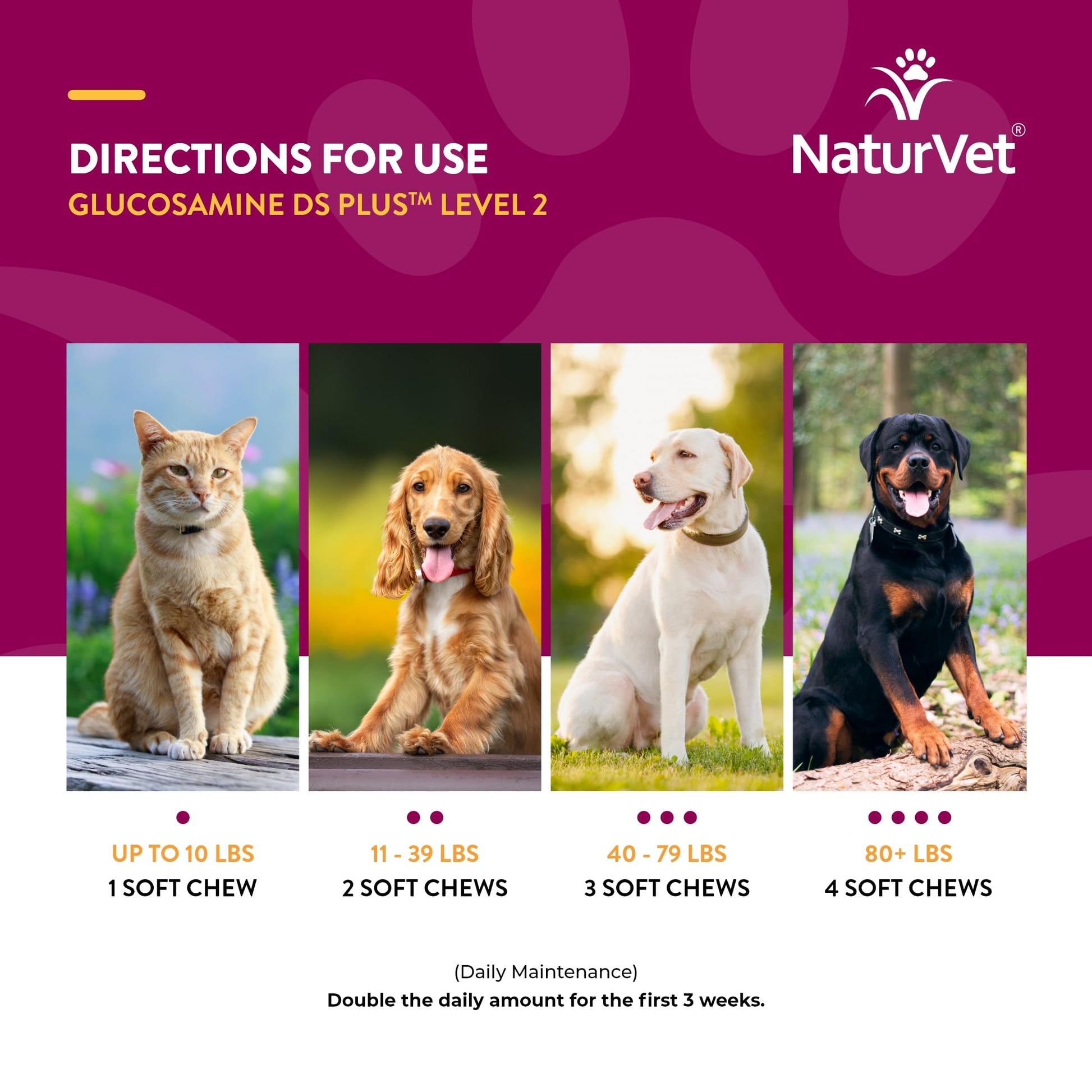 NaturVet – Glucosamine DS Plus - Level 2 Moderate Care – Supports Healthy Hip & Joint Function – Enhanced with Glucosamine, MSM & Chondroitin – for Dogs & Cats – 240 Soft Chews NaturVet buy supplements canada