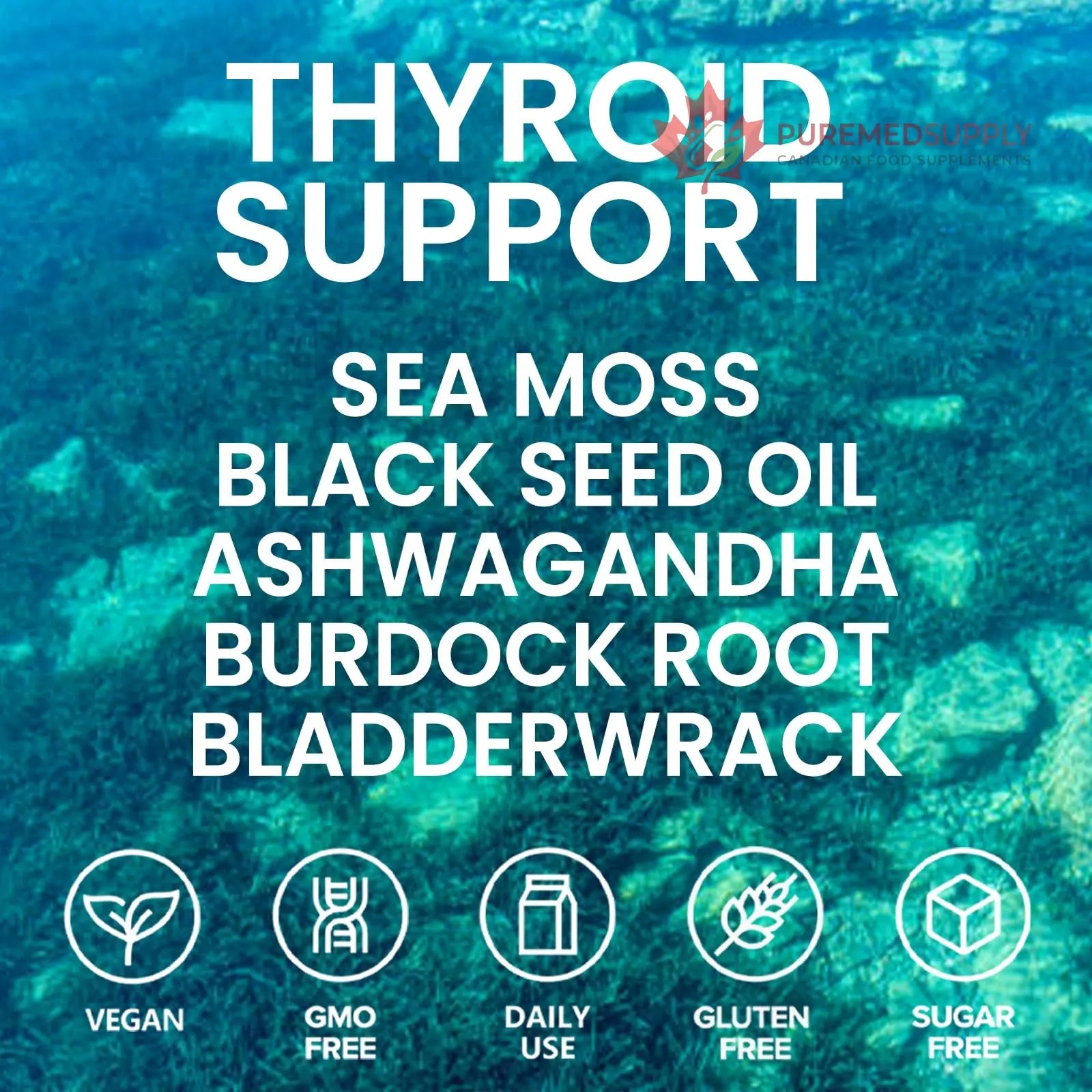 Velestoff Irish Seamoss Thyroid Hormone Regulator, Velestoff Thyroid Support Drops | Sea Moss, Black Seed Oil, Ashwagandha, Burdock Root, Bladderwrack, Hormone Balance & Support - 2 FL.OZ (1 Pcs) Velestoff buy supplements canada