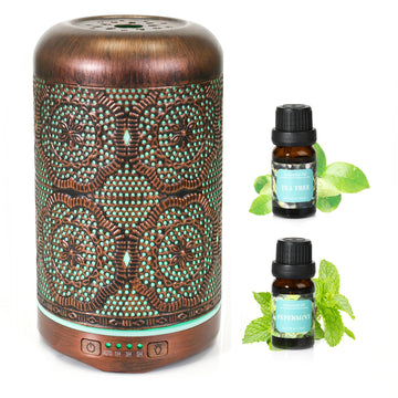 Essential Oil Diffuser, Upgraded Metal Diffusers with Lavender Lemon Essential Oils, 250ml BAIESHIJI buy supplements canada