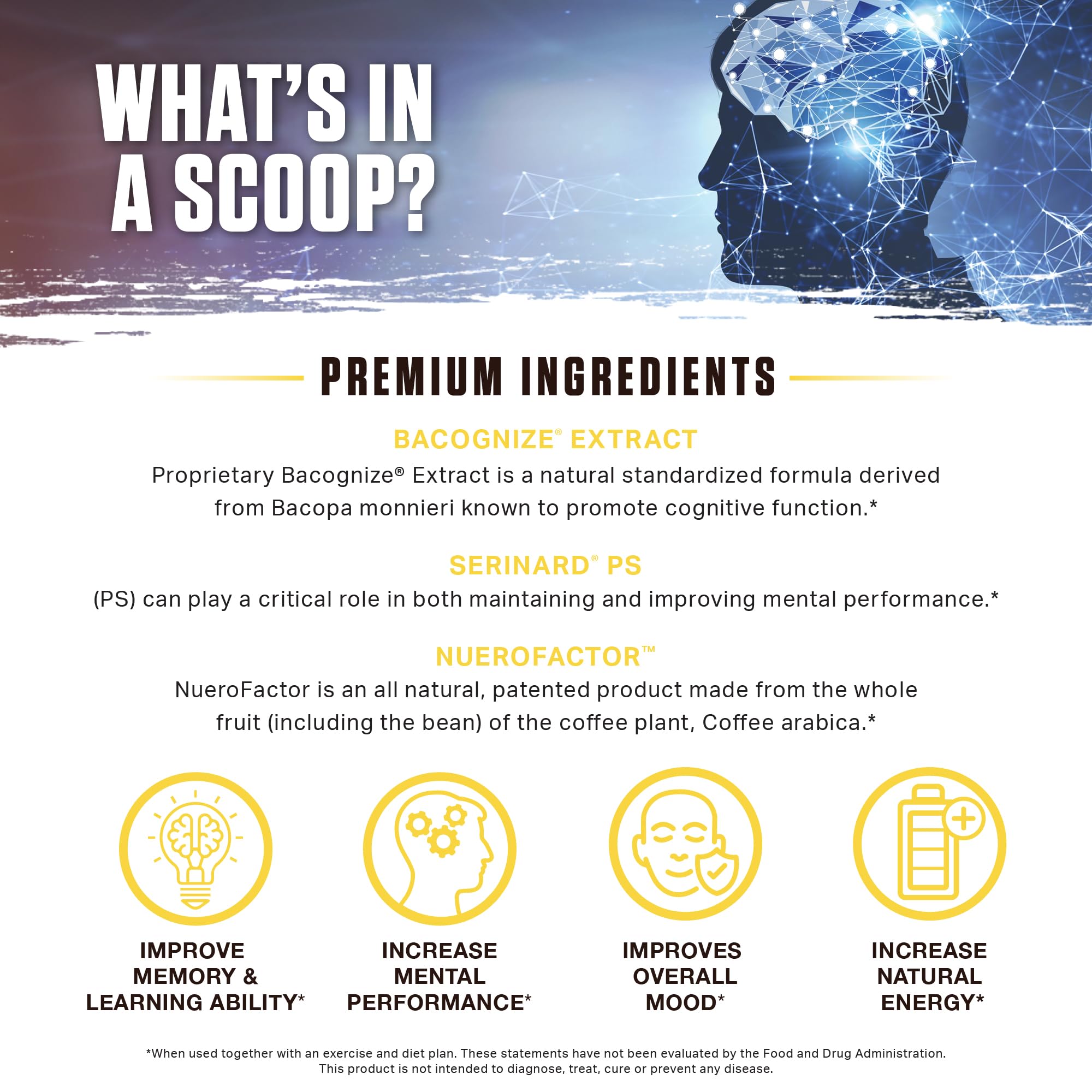 Ambrosia Mental Jewels Nootropic Brain Supplement Powder | Alpha GPC, Bacopa & Phosphatidylserine | Memory, Focus & Concentration Support | 30 Servings | Cherry Limeade Ambrosia buy supplements canada