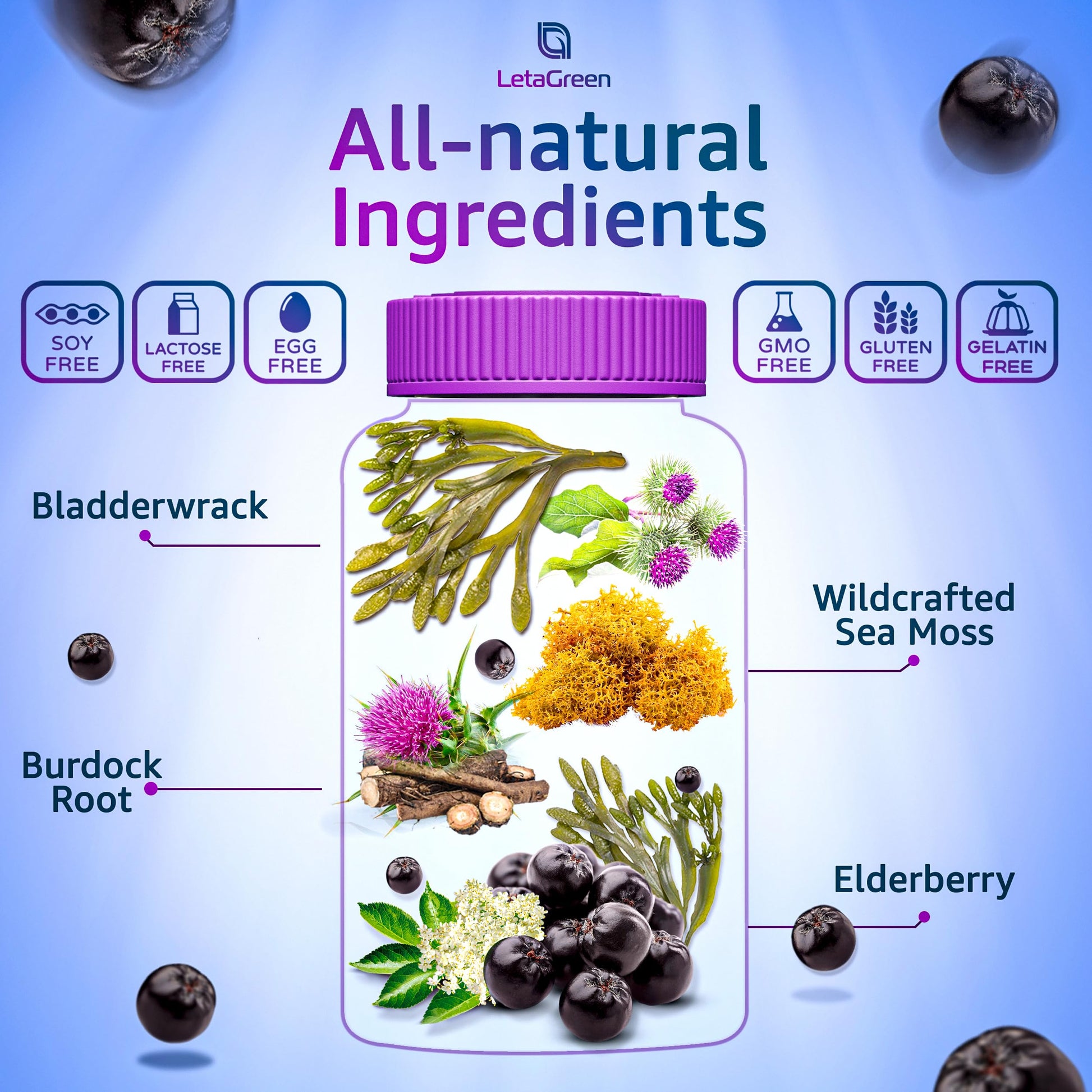 LetaGreen Irish Sea Moss Gummies - 60 Vegan Seamoss Gummies Bears LetaGreen buy supplements canada
