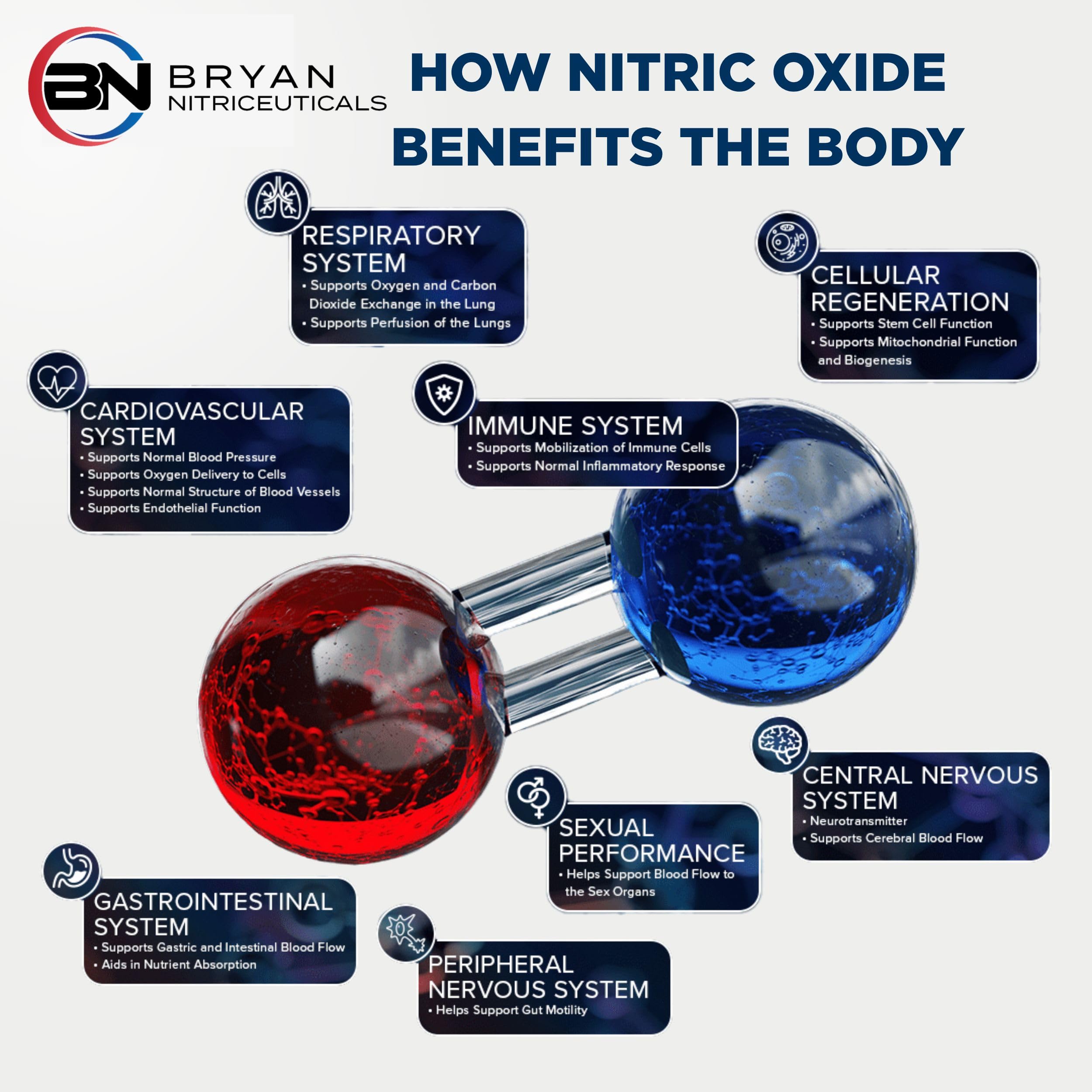 Bryan Nitriceuticals N.O. Beetz Nitric Oxide Fueled Energy Boost Supplement, Hydration & Cellular Energy Production Enhancer, Blend of Vitamins and Minerals (30 Servings) Bryan Nitriceuticals buy supplements canada