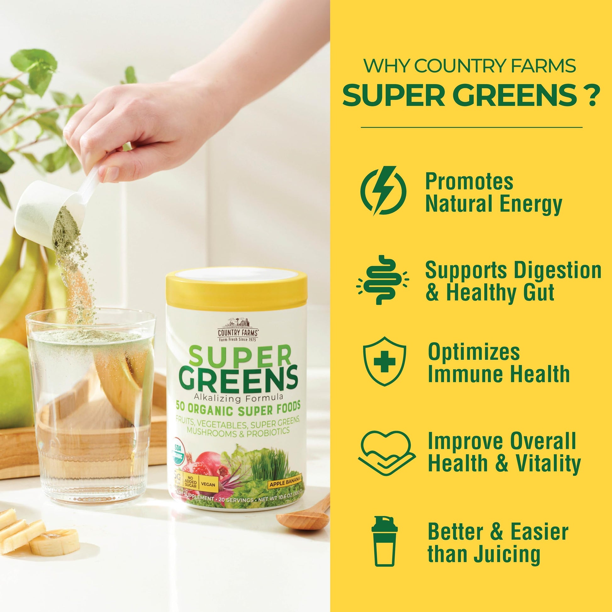Country Farms Super Greens Apple Banana Powder Smoothie, Organic Super Foods, USDA Organic Drink Mix, Fruits, Vegetables, Mushrooms, Superfood Nutrition, 40 Servings, 2 Pack Country Farms buy supplements canada