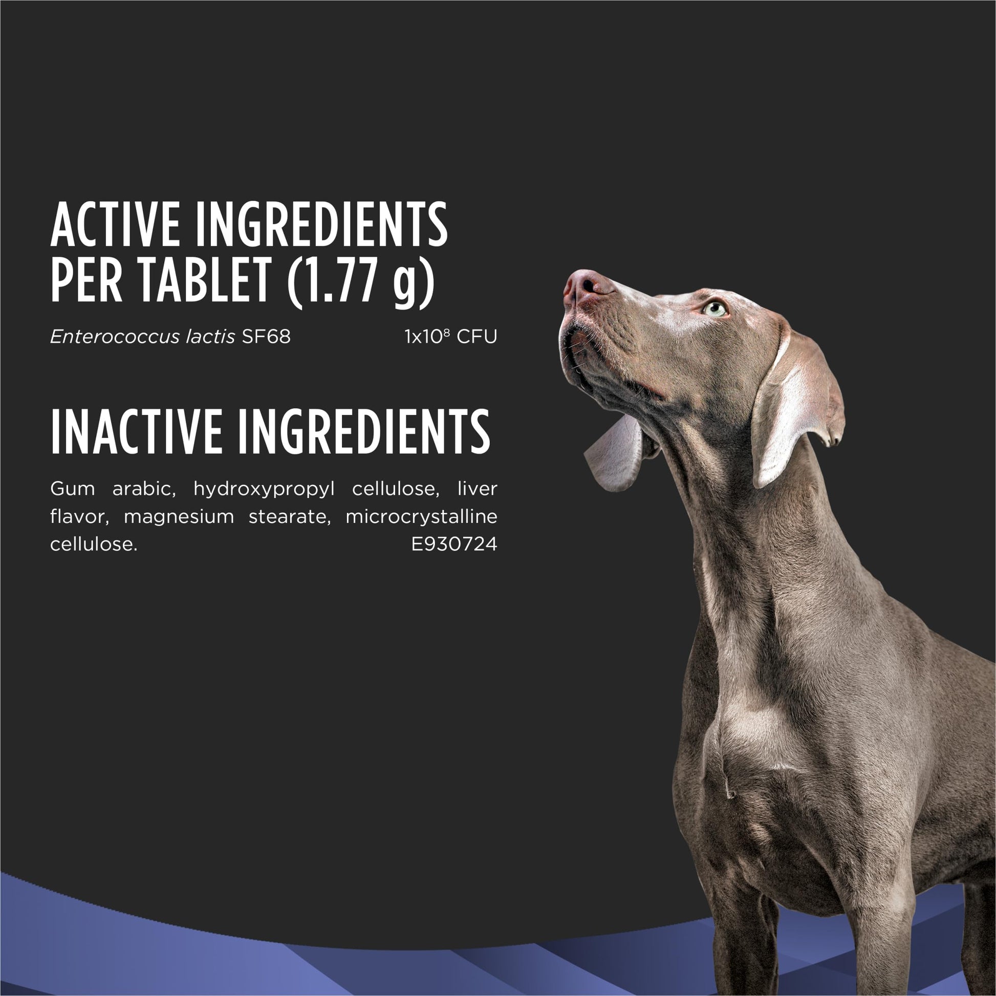 Purina Pro Plan Veterinary Supplements FortiFlora Daily Probiotics for Dogs Chewable Tablets for Digestive Gut Health and Diarrhea - 90 ct. Canister Pro Plan Veterinary Diets buy supplements canada