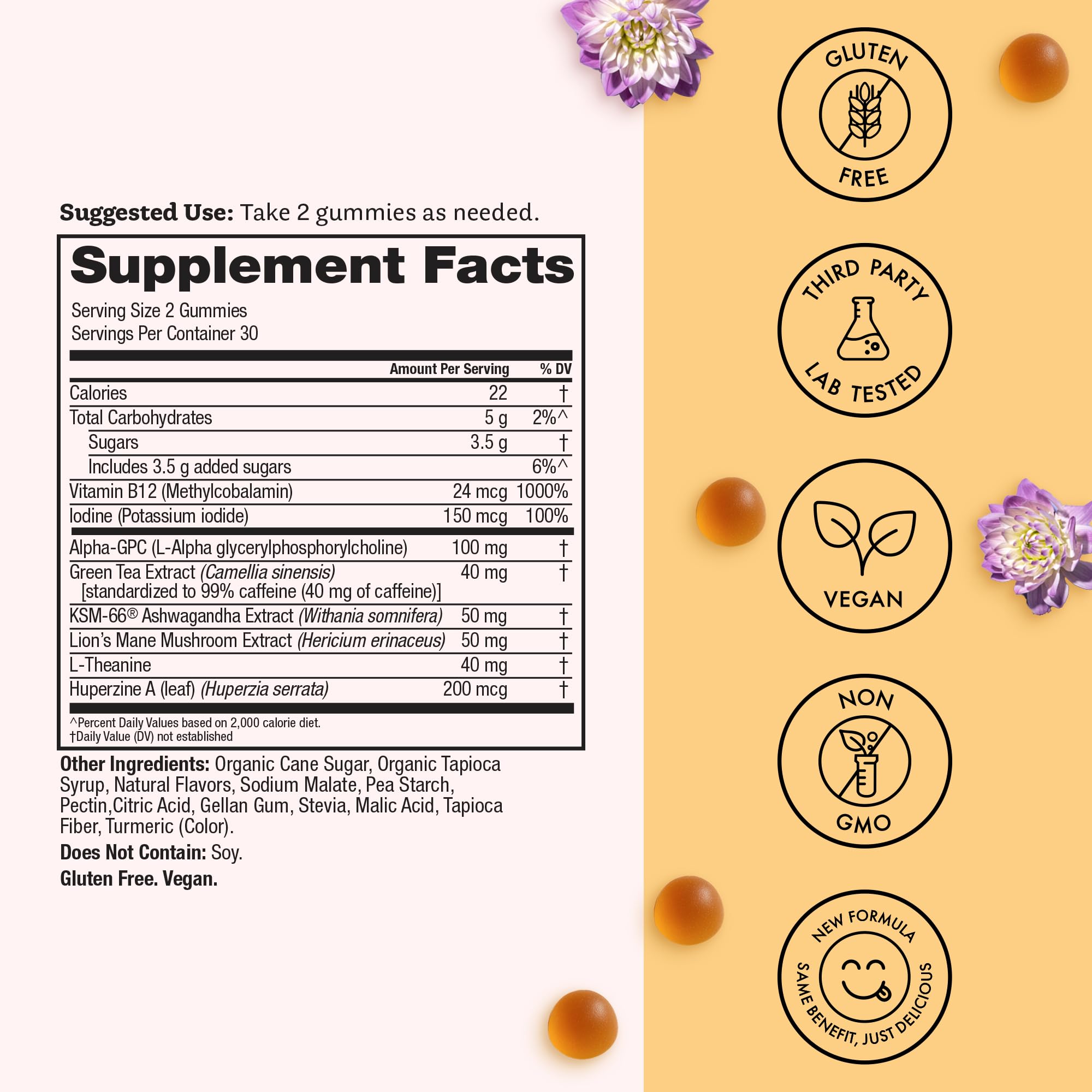 Winged Wellness Rise Up, Energy & Focus Gummies for Women - Daily Brain Boost Gummy Supplement with Natural Caffeine, Ashwagandha, B12, Nootropics Alpha-GPC & Lion’s Mane - Pineapple, 60 Gummies Winged Wellness buy supplements canada