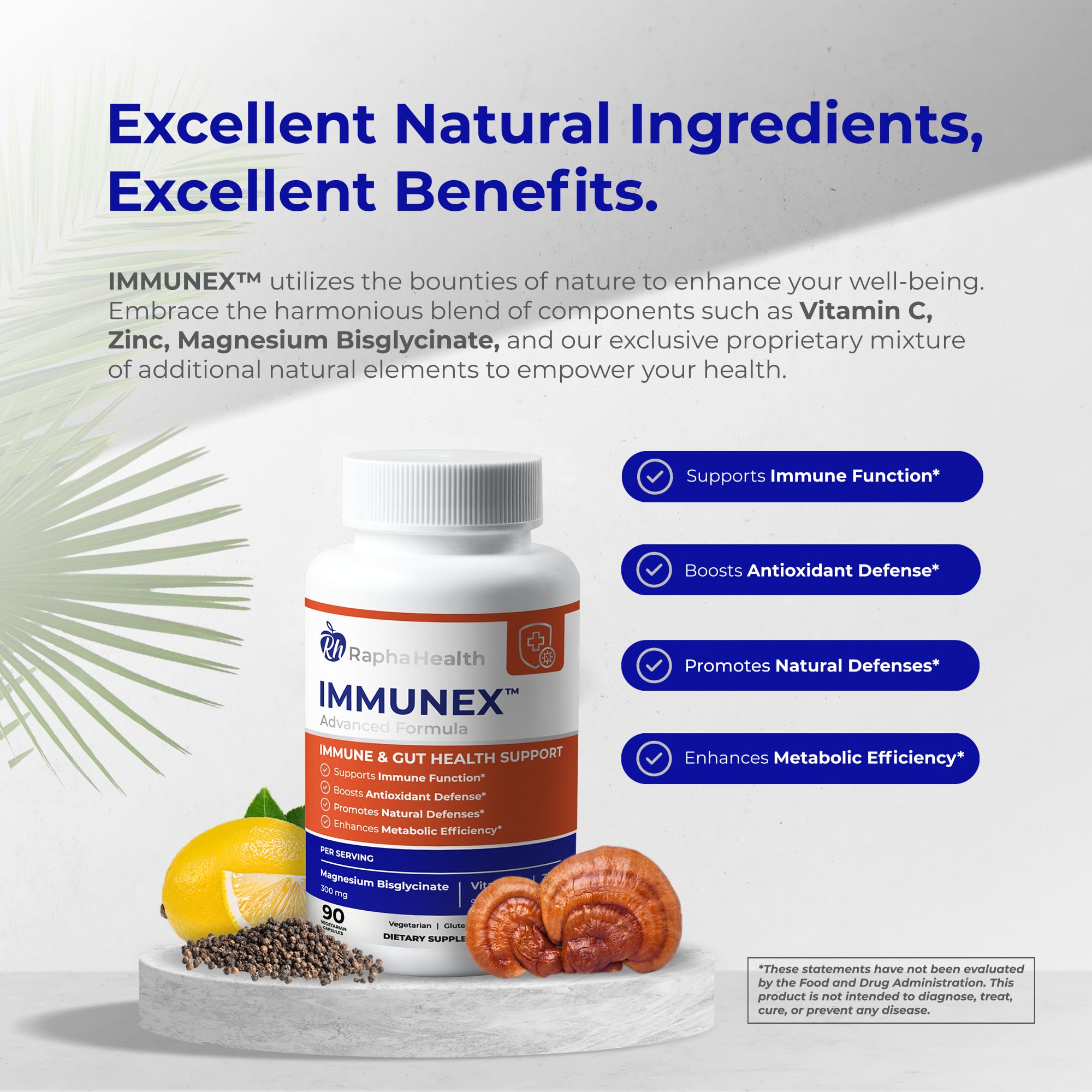RAPHA HEALTH Immune 247 - Immune and Wellness Support | Gut & Antioxidant Booster | Magnesium, Selenium, Zinc, Vitamin C, Ashwagandha | 90 Capsules - 30 Servings RAPHA HEALTH buy supplements canada