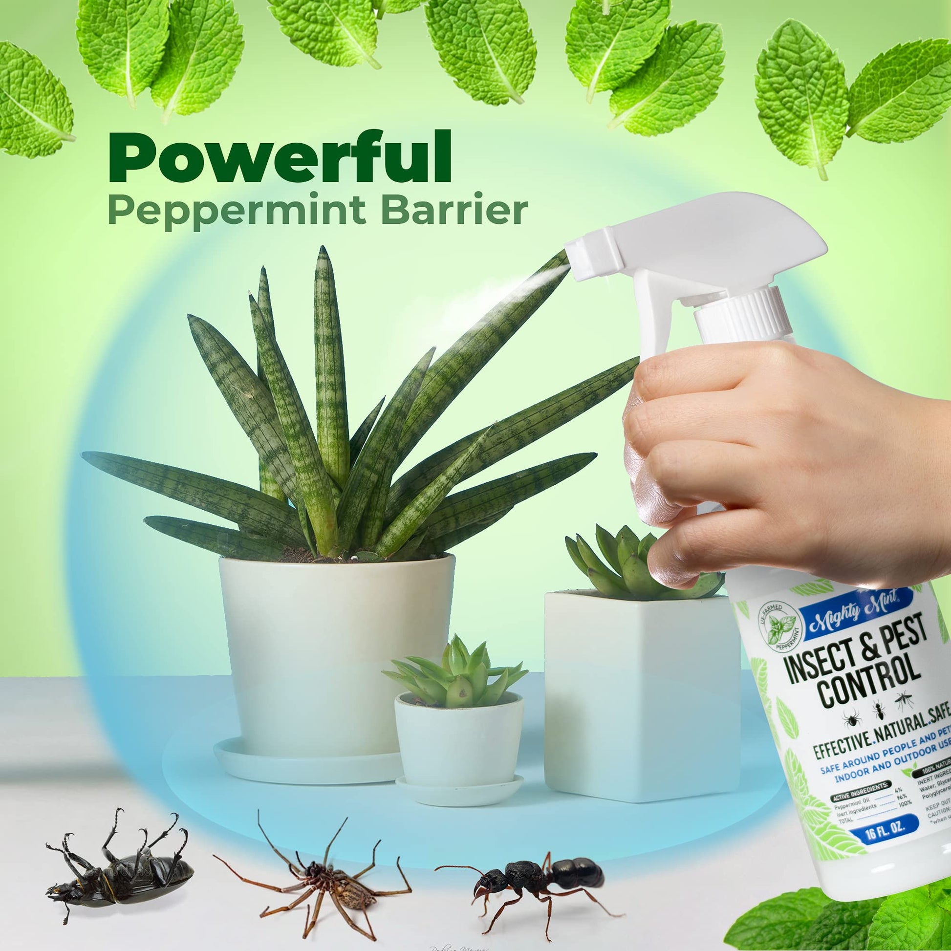 Mighty Mint 16 oz Peppermint Oil Insect & Pest Spray - for Spiders, Ants Mighty Mint buy supplements canada