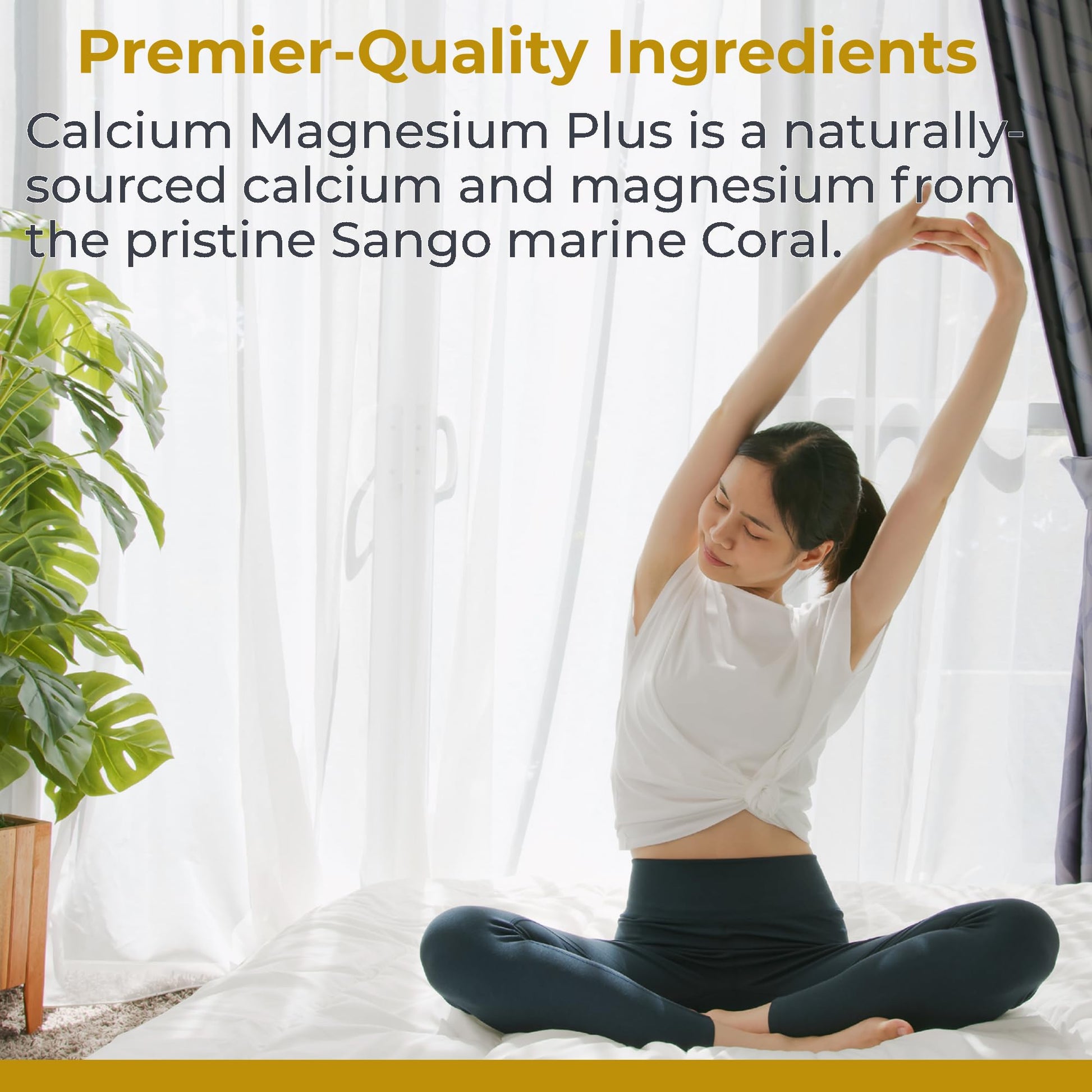 Premier Research Labs Calcium Magnesium Plus - Calcium Magnesium Supplement, Calcium Supplement for Bone Health, with Mushroom Complex - Reishi & Lions Mane - 90 Vegetarian Capsules Premier Research Labs buy supplements canada