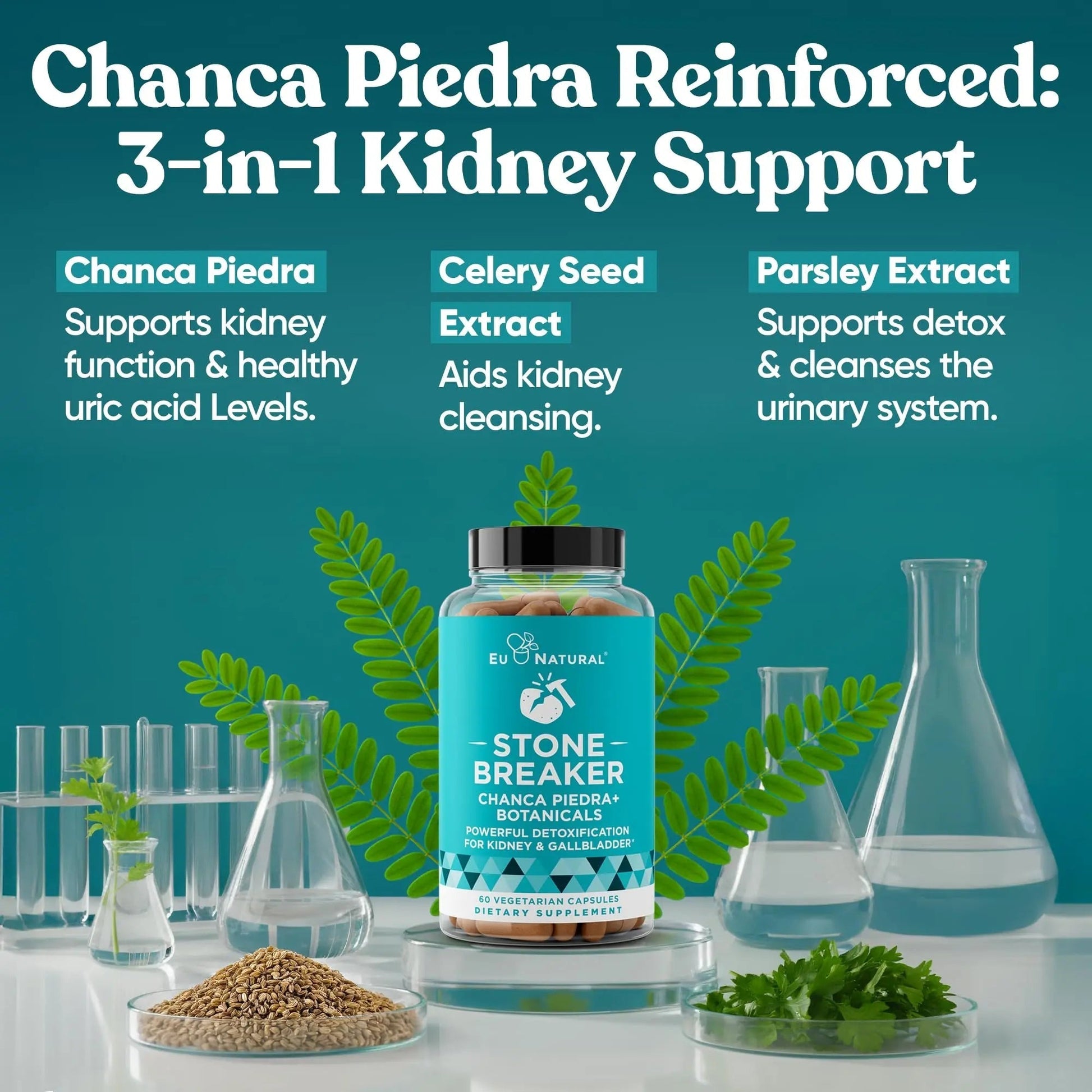 Chanca Piedra Stone Breaker - The Original Stone Breaking Formula with Celery Seed & Parsley - Supports Kidney, Gallbladder & Urinary Tract Cleansing to Help Flush Impurities - 60 Vegetarian Capsules Eu Natural buy supplements canada
