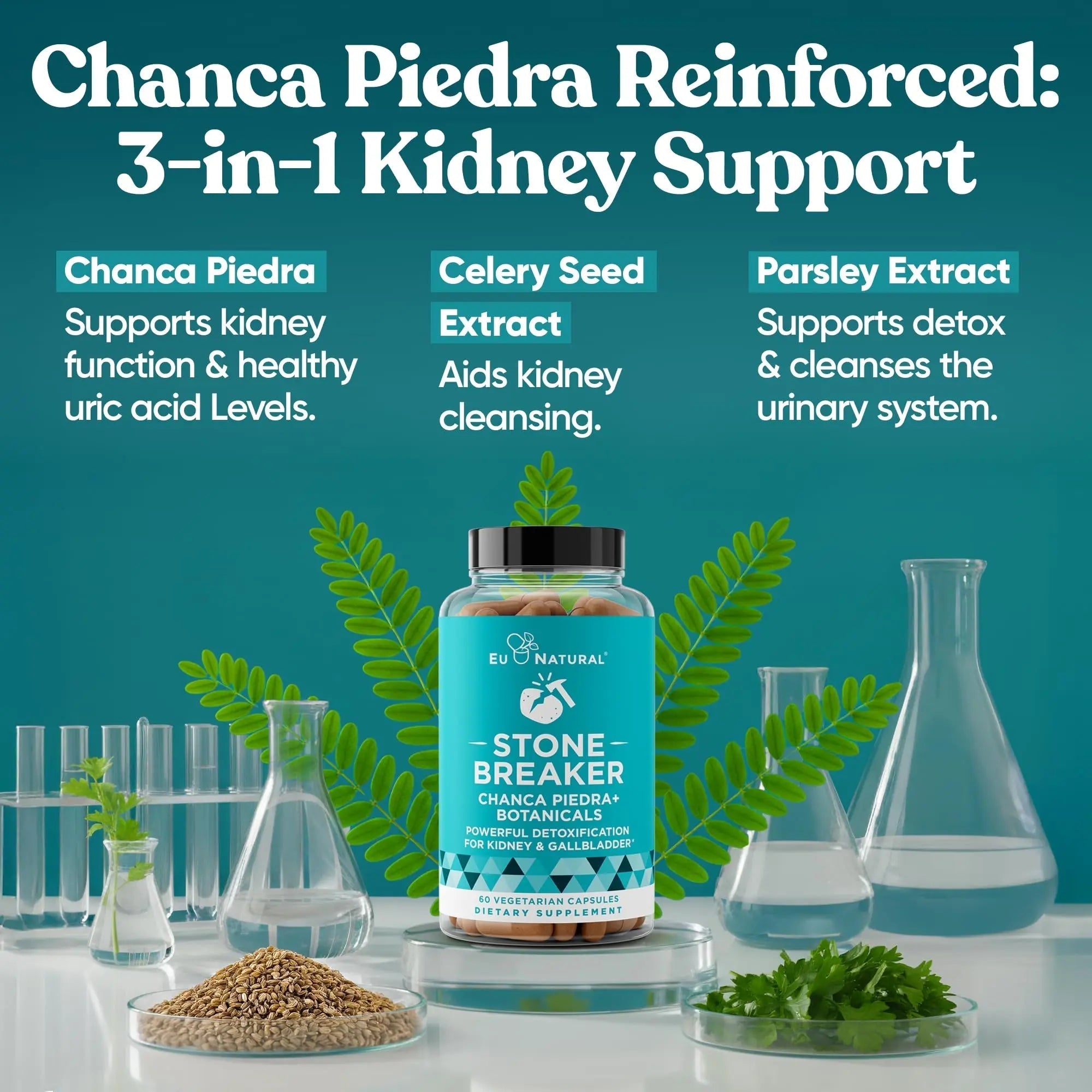 Chanca Piedra Stone Breaker - The Original Stone Breaking Formula with Celery Seed & Parsley - Supports Kidney, Gallbladder & Urinary Tract Cleansing to Help Flush Impurities - 60 Vegetarian Capsules Eu Natural buy supplements canada