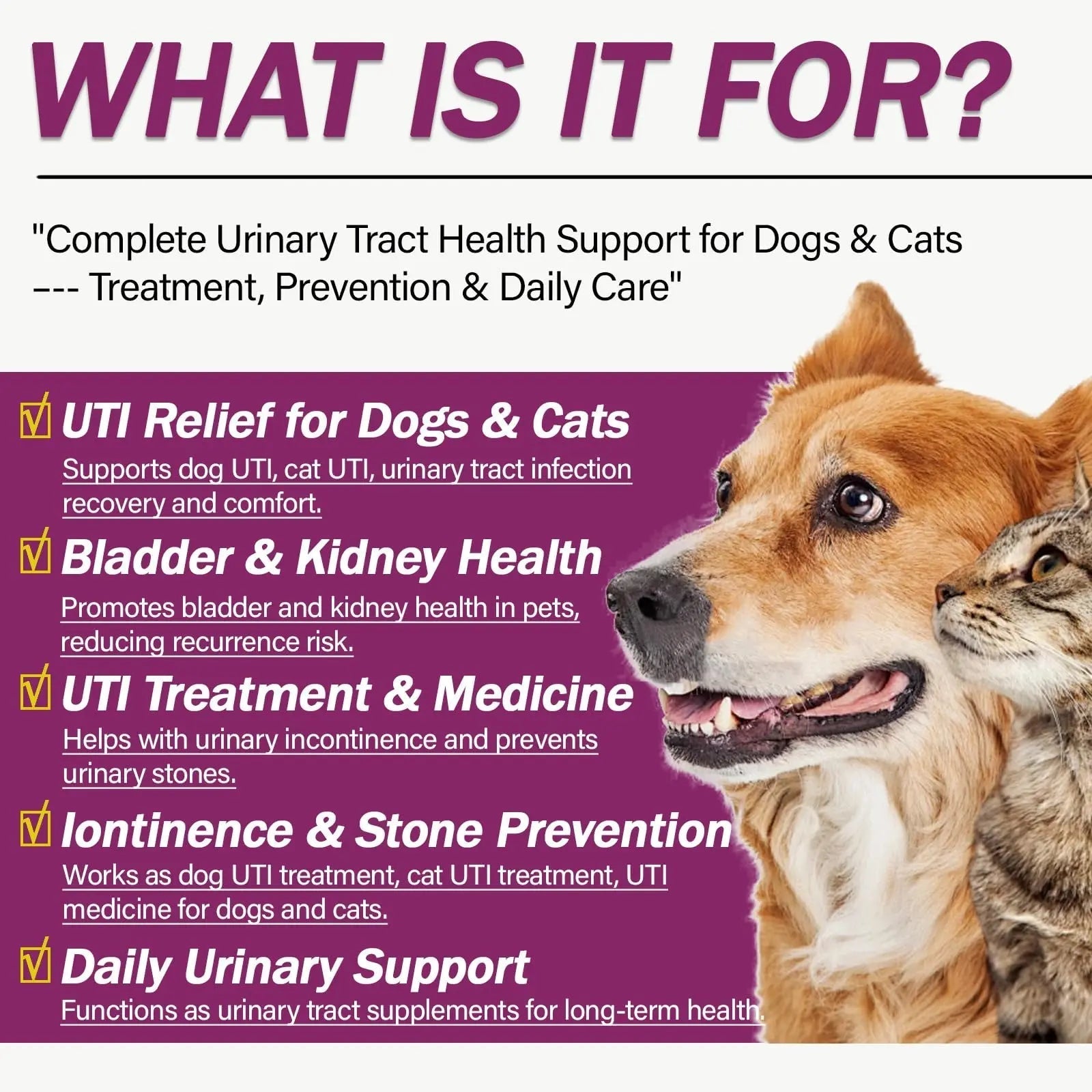 NUTRIARISE Natural UTI Treatment for Cats & Dogs – Antibiotic-Free Urinary Tract Infection Support Supplement – Bladder & Kidney Health – Incontinence Prevention – 30 Capsules NUTRIARISE buy supplements canada