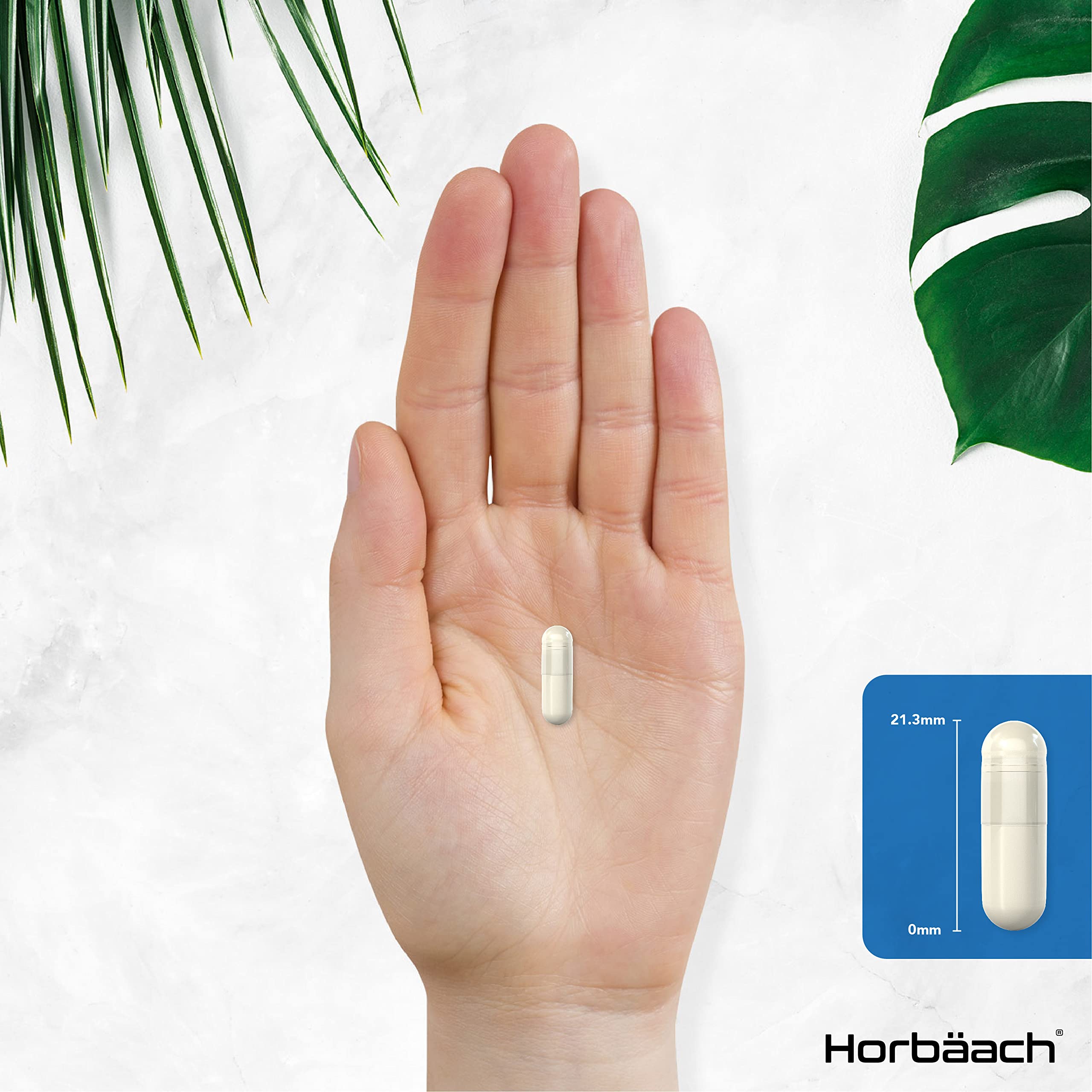 Vitamin B3 Niacin 500mg | 90 Vegan Capsules | Flush Free Nicotinamide Supplement Horbäach buy supplements canada