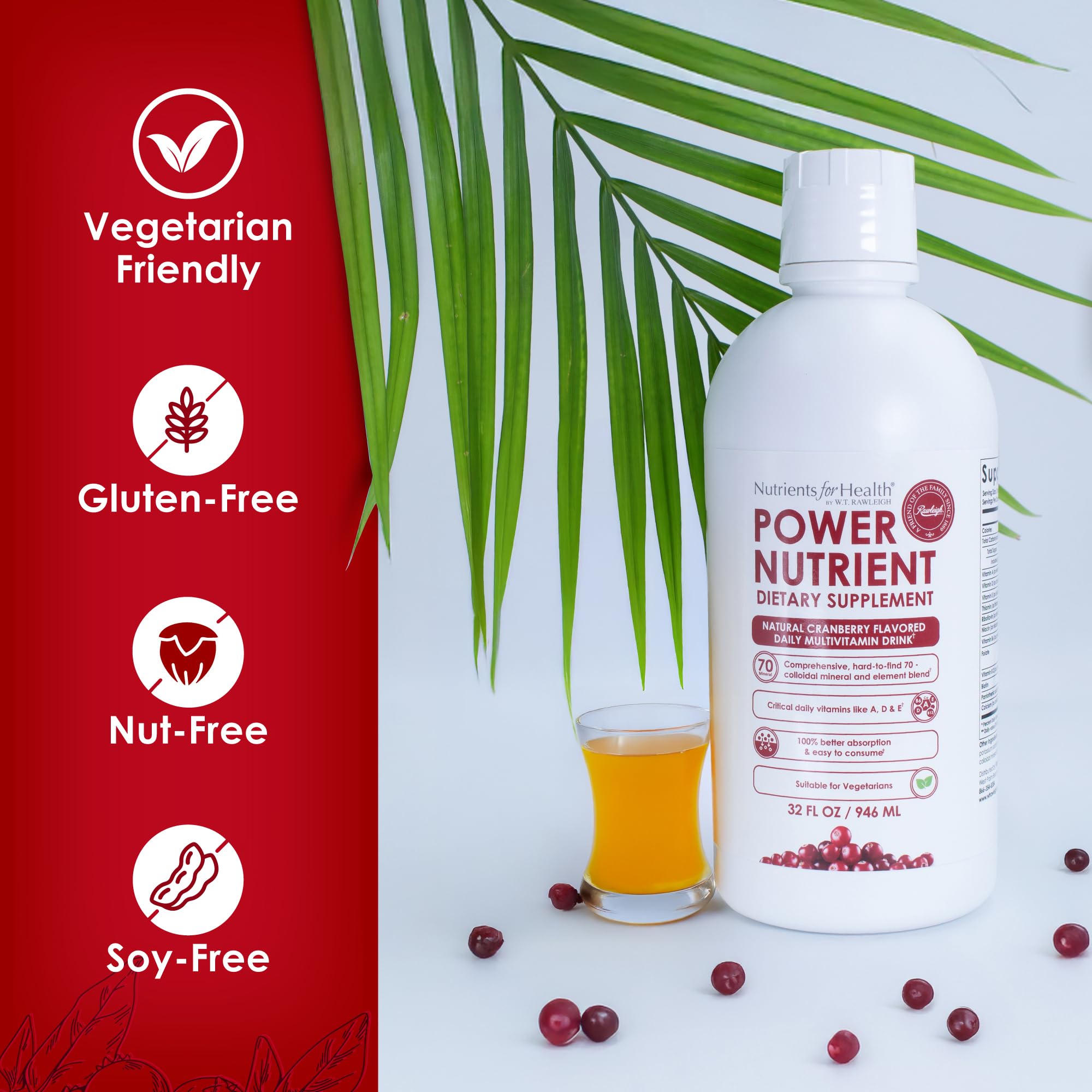 Rawleigh Power Nutrient: 32 fl oz for 1 Month - Cranberry Flavor, Daily Multivitamin Liquid Supplement for Men, Women with VIT. A - zinc & 70 Colloidal Trace Minerals, Vegetarian-Friendly, GMO Free Rawleigh buy supplements canada