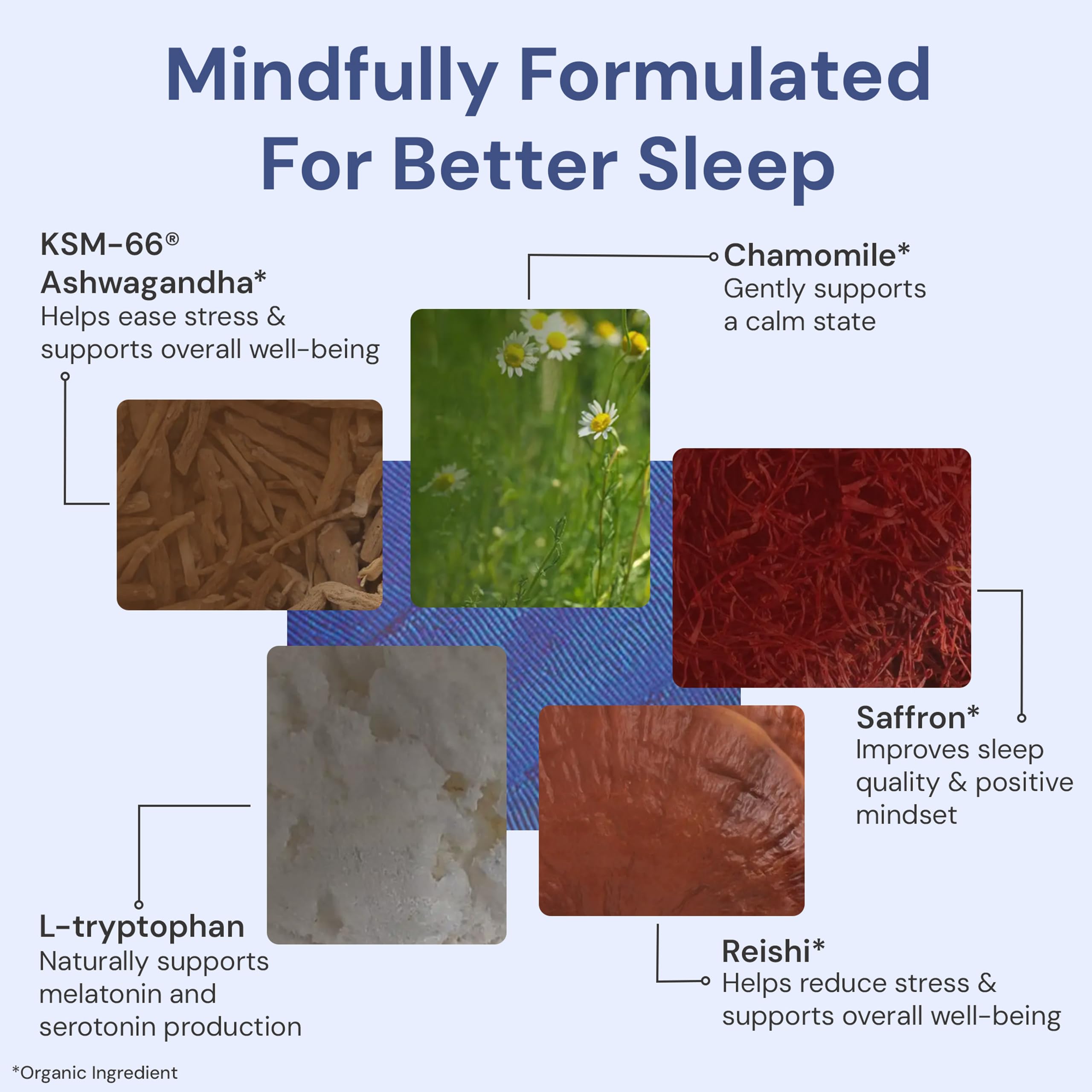 ION* Intelligence of Nature Restful Sleep - Ashwagandha Calm Sleep Aid Powder Drink Mix for Restful Night with Magnesium and L Theanine for Women and Men - 5 Packets ION* Intelligence of Nature buy supplements canada