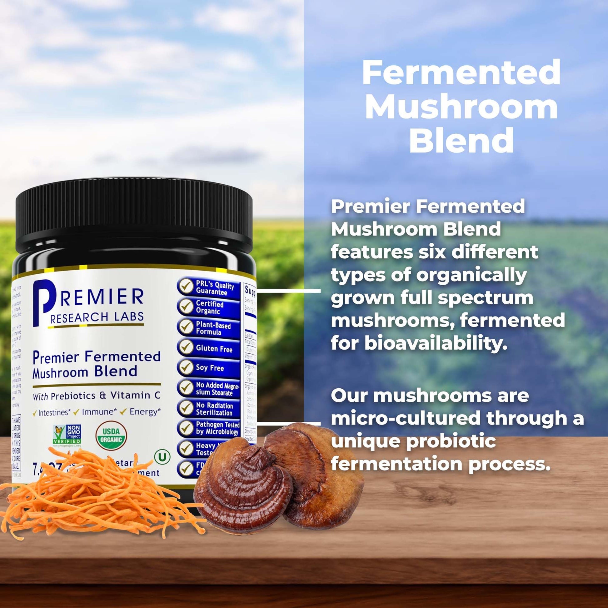 Premier Research Labs Premier Fermented Mushroom Blend - Reishi Mushroom Powder, Mushroom Extract for Drinks, Coffee, Mushroom Complex with Turkey Tail, Cordyceps for Immune & Gut Health - 7.4 oz Premier Research Labs buy supplements canada