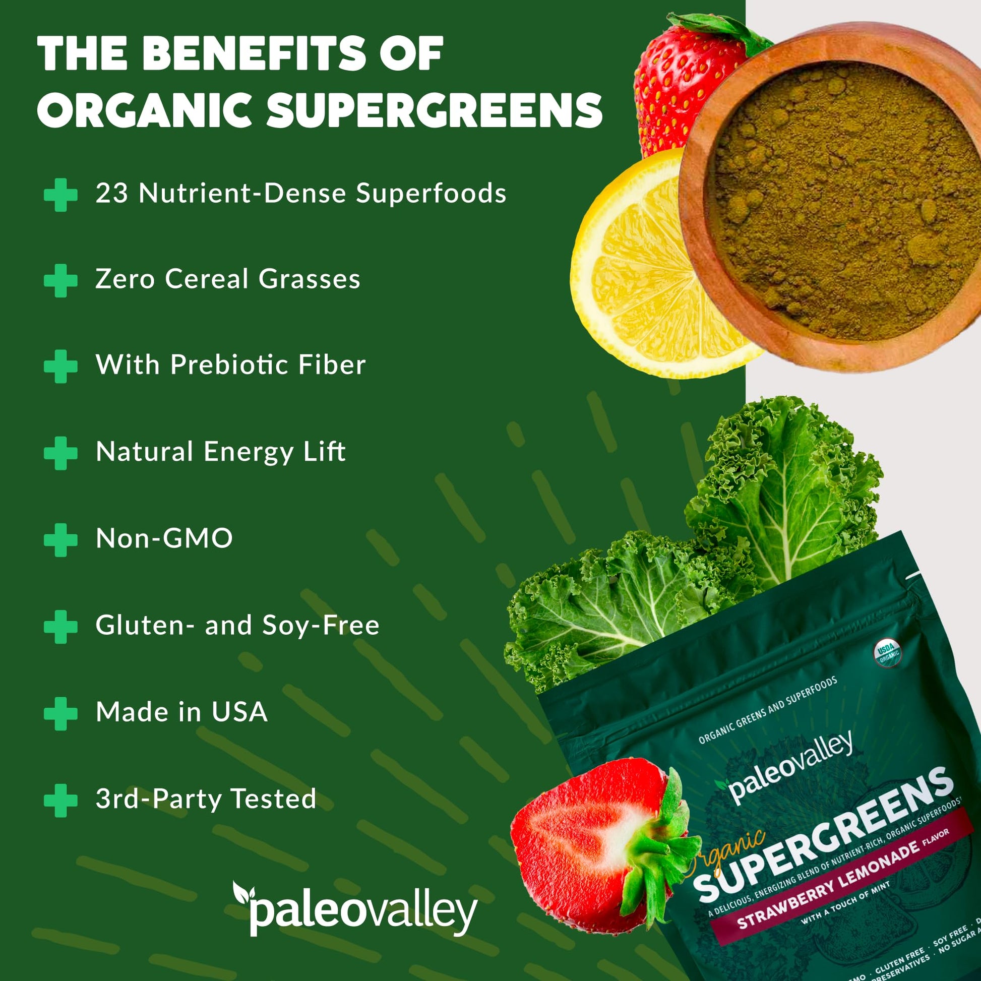 Paleovalley Organic Supergreens - Organic Greens Powder Superfood for Immune Support - Paleo Green Powder Blend - 28 Servings - 23 Superfoods - Gluten Free, No Cereal Grasses, Soy or Grain Paleovalley buy supplements canada