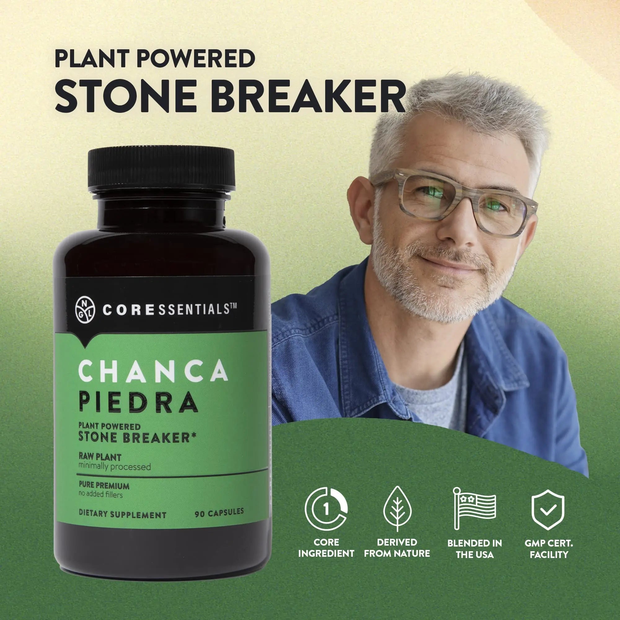 NGL Chanca Piedra Pure Stone Breaker 1,300mg - Kidney, Renal, Gallbladder Support Phyllanthus niruri - All Natural Herbal Detox Urinary Tract, Removes Impurities - 90 Capsules NGL buy supplements canada