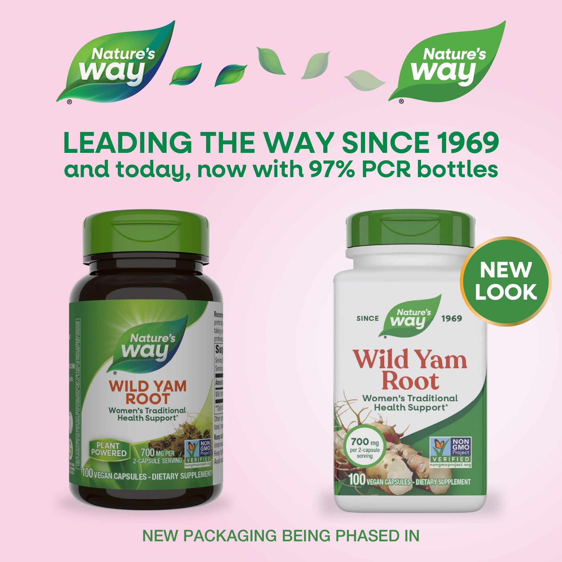 Nature's Way Wild Yam Root Capsules, Women's Traditional Health Support*, 700 mg per 2-Capsule Serving, Non-GMO Project Verified, 100 Vegan Capsules (Packaging May Vary) Nature's Way buy supplements canada