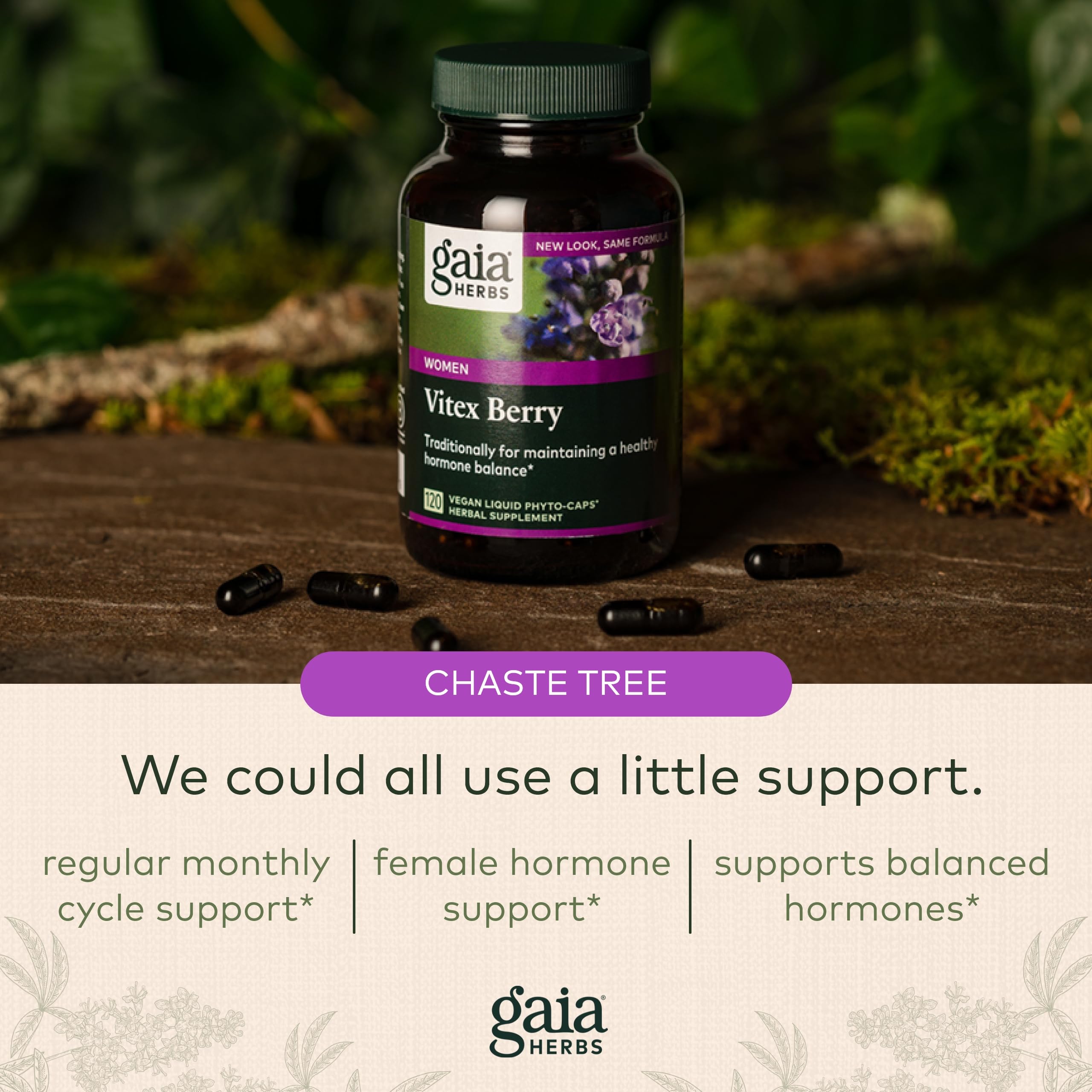 Gaia Herbs Vitex Berry (Chaste Tree) - Supports Hormone Balance & Fertility Gaia Herbs buy supplements canada