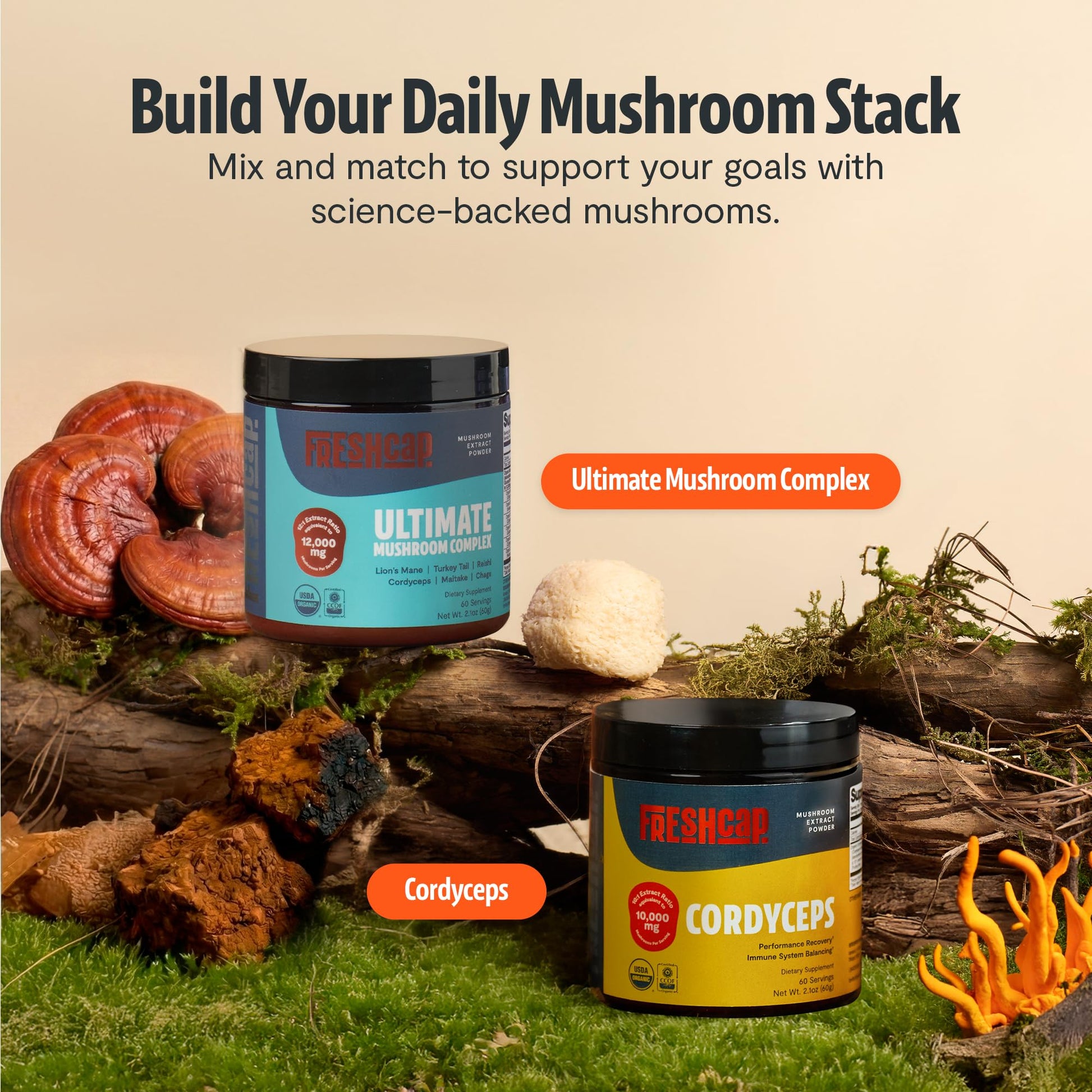 FreshCap Mushrooms Ultimate Mushroom Supplement Powder 12,000mg - Nootropic Organic Mushroom Complex for Focus & Memory, Brain Support Supplement, Ayurveda Mushroom Powder Extract (60 Servings) FreshCap Mushrooms buy supplements canada