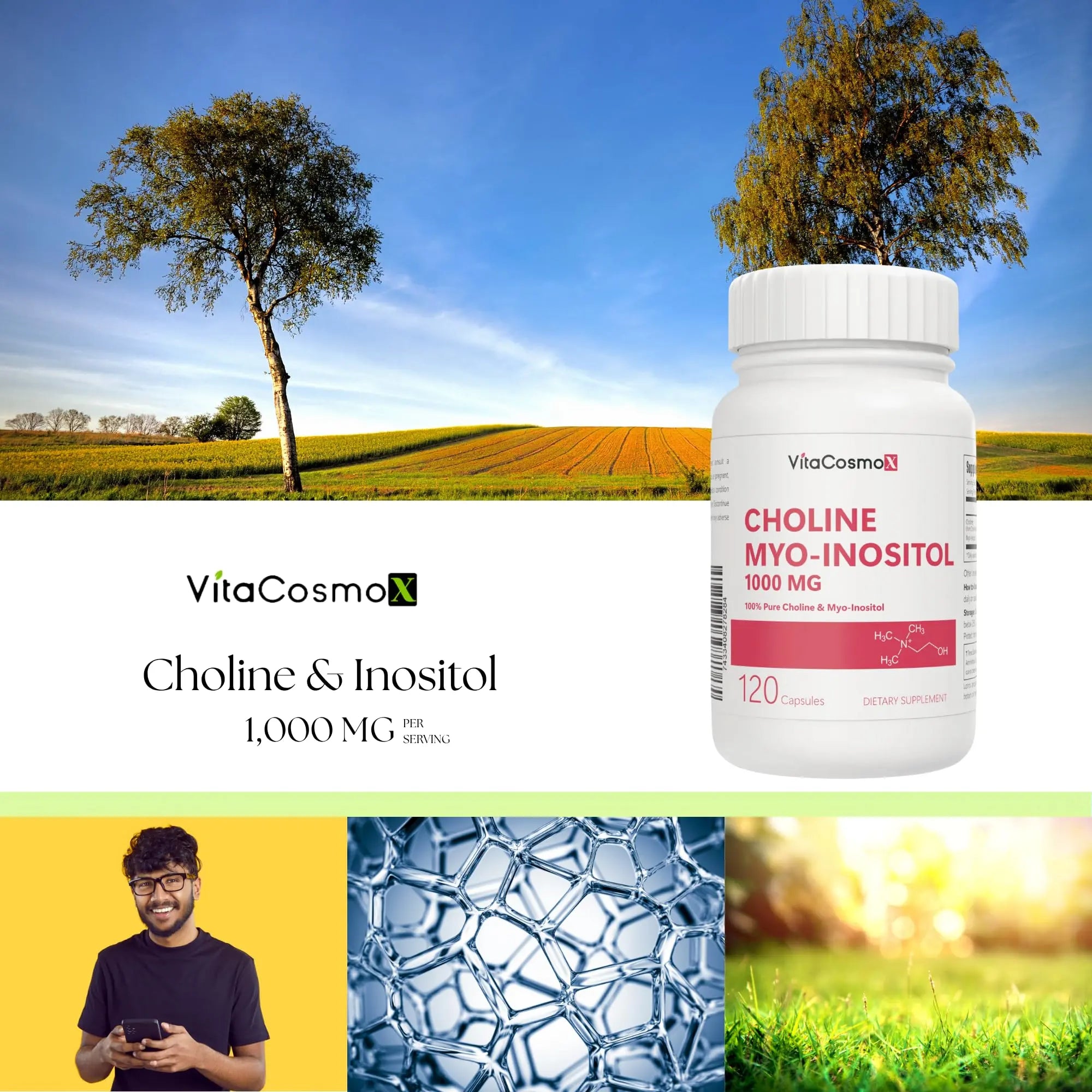 VitaCosmoX Choline and Myo-Inositol Supplement, 1000 mg Each, 120 Veggie Capsules 100% Vegetarian, Non-GMO & Gluten Free VitaCosmoX buy supplements canada