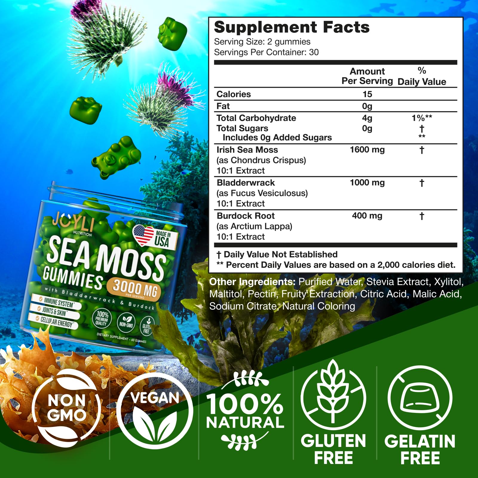 Sea Moss Gummies - Irish Seamoss Gummies for Adults & Kids - Advanced Superfood Supplement with Natural Sea Moss Gel, Bladderwrack & Burdock Root Extract - 60 Vegan Irish Moss Gummy Bears JOYLI Nutrition buy supplements canada