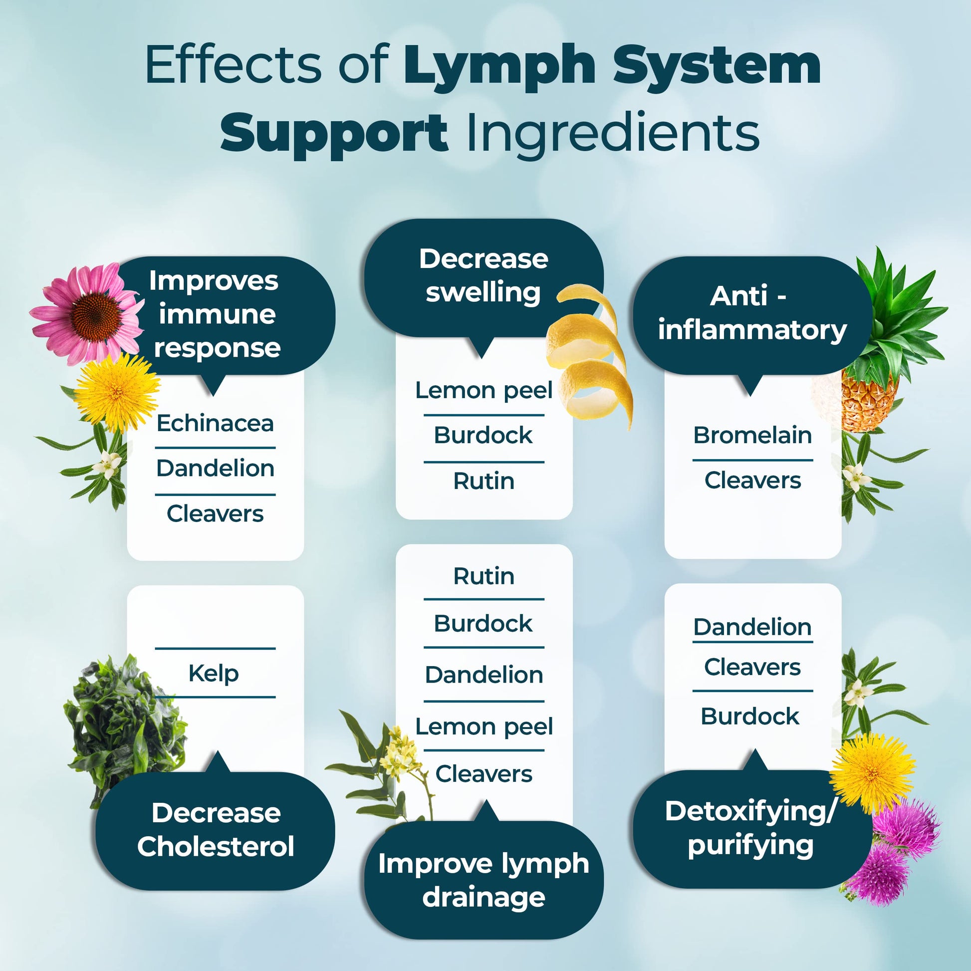 PUREHEALTH RESEARCH Lymph System Support Supplement - Lymphatic Drainage Supplement PUREHEALTH RESEARCH buy supplements canada