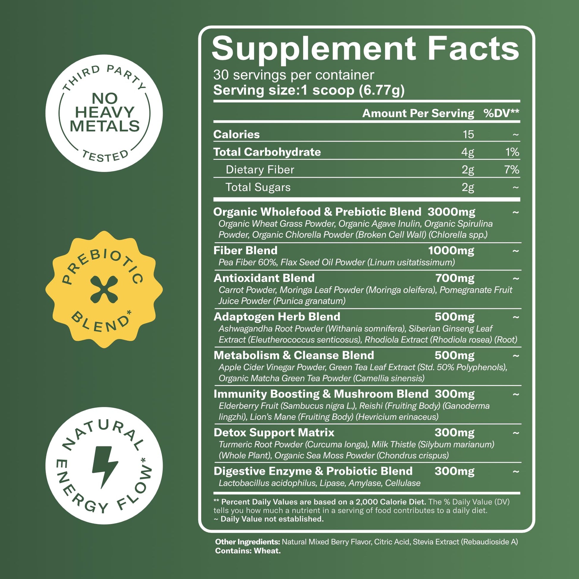 TrueSeaMoss Super Greens Powder with Matcha for Digestive & Gut Health – 25 Superfoods with Probiotics, Prebiotics, Enzymes & Sea Moss – Vegan Superfood Powder for Bloating & Regularity - 30 Servings TrueSeaMoss buy supplements canada