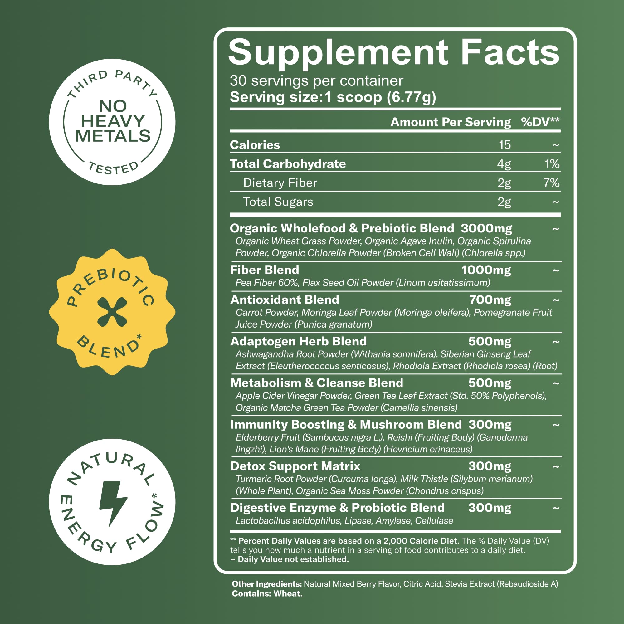 TrueSeaMoss Super Greens Powder with Matcha for Digestive & Gut Health – 25 Superfoods with Probiotics, Prebiotics, Enzymes & Sea Moss – Vegan Superfood Powder for Bloating & Regularity - 30 Servings TrueSeaMoss buy supplements canada