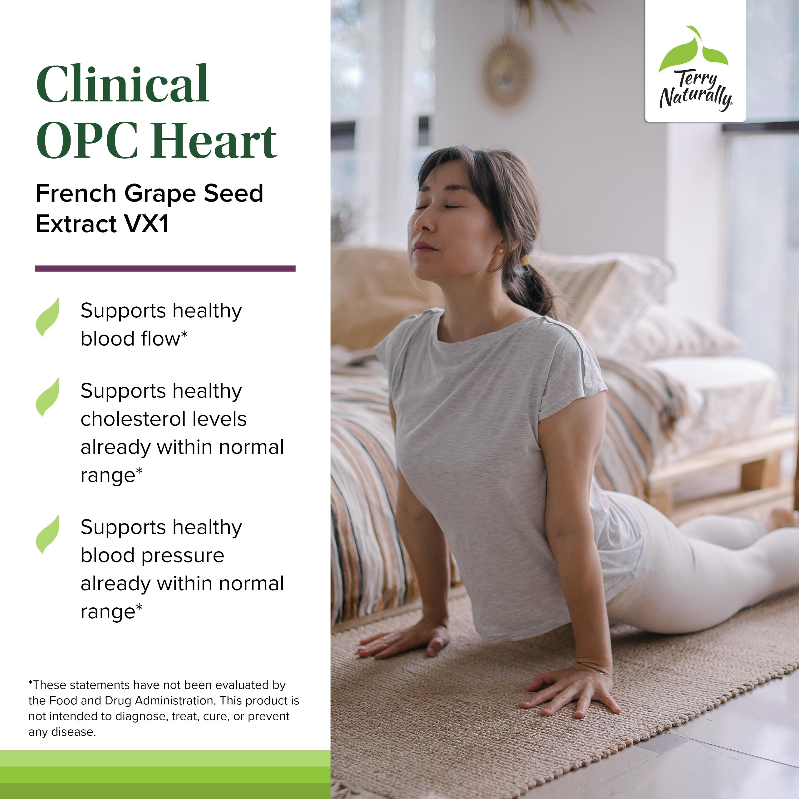 Terry Naturally Clinical OPC Heart - Heart Health Supplement with Magnesium, Vitamin B6, Grape Seed Extract - Dietary Supplement for Artery Health & Circulation - 60 Capsules Terry Naturally buy supplements canada
