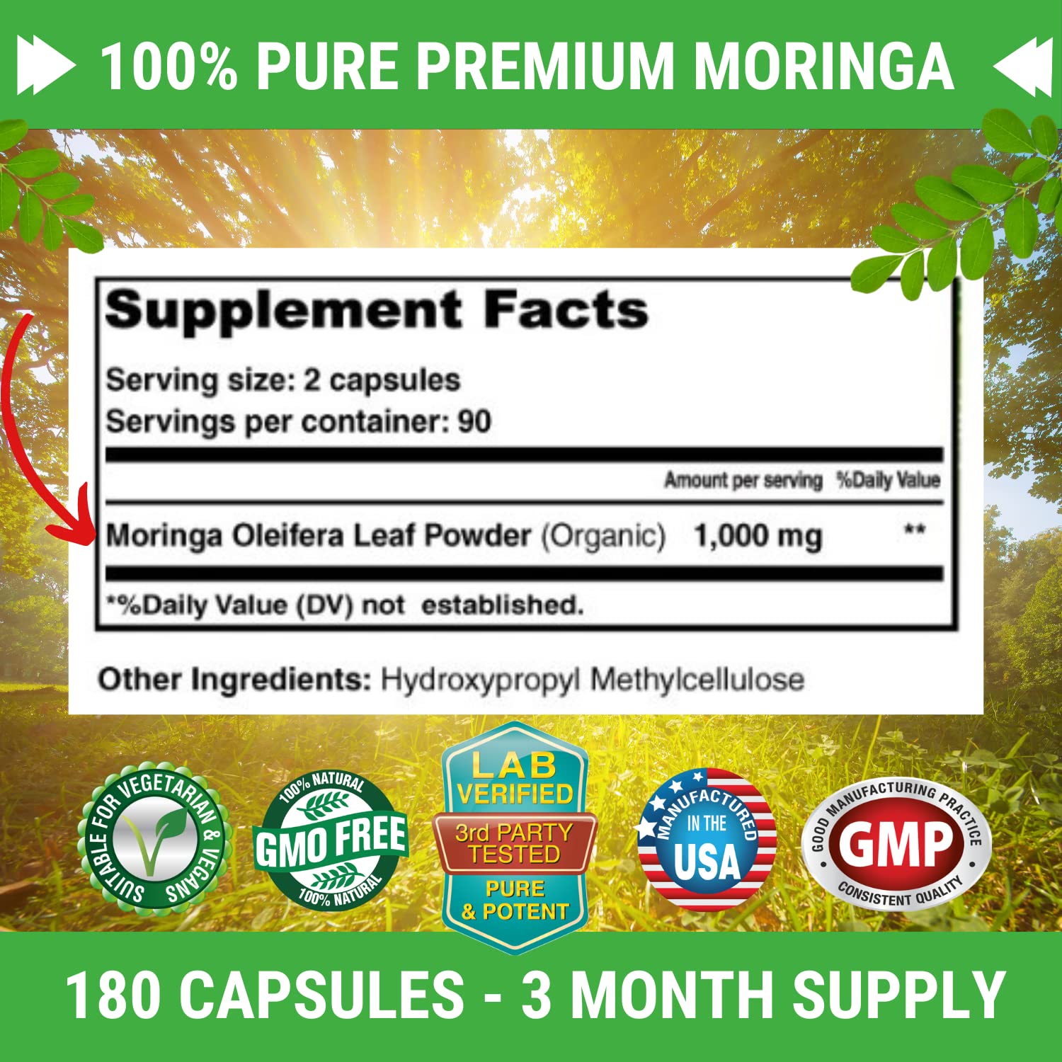 FRESH HEALTHCARE Moringa Capsules – 100% Pure Leaf Powder - 180 Pills, Non-GMO - 3 Month Supply - Complete Green Superfood for Energy FRESH HEALTHCARE buy supplements canada