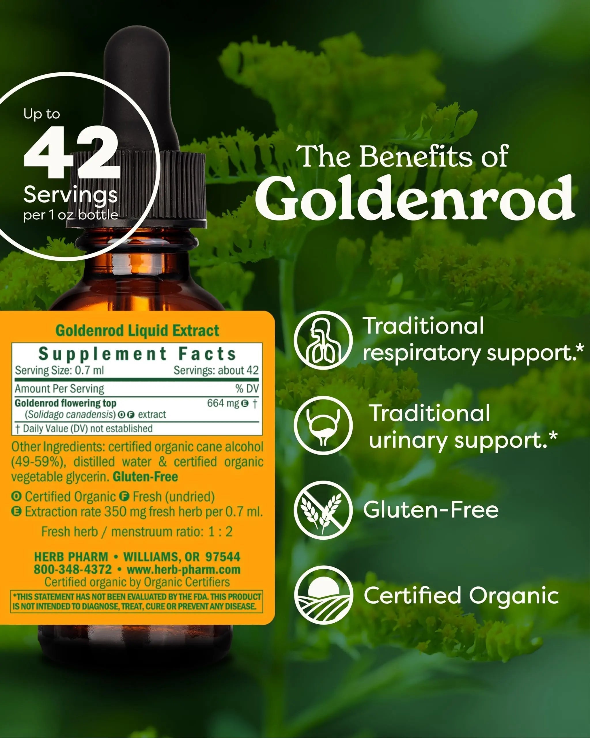 Herb Pharm Certified Organic Goldenrod Liquid Extract for Urinary System Support, 1 Fl Oz (Pack of 1) Herb Pharm buy supplements canada