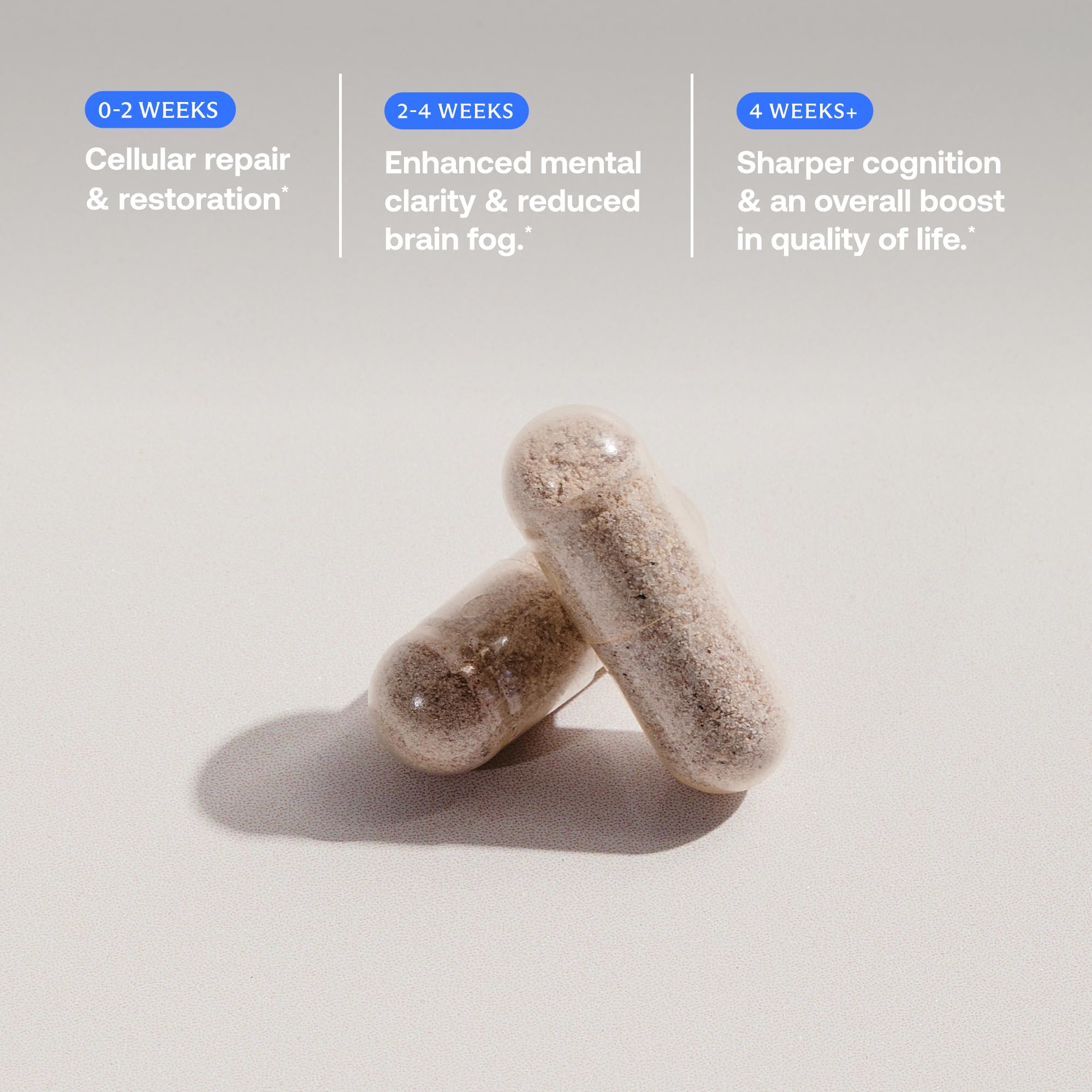 BodyBio Calm - Natural Stress Relief Blend with Rhodiola, Glycine & Phosphatidylserine - Supports Relaxation, Mental Focus & Balanced Cortisol - Non - Drowsy Formula BodyBio buy supplements canada