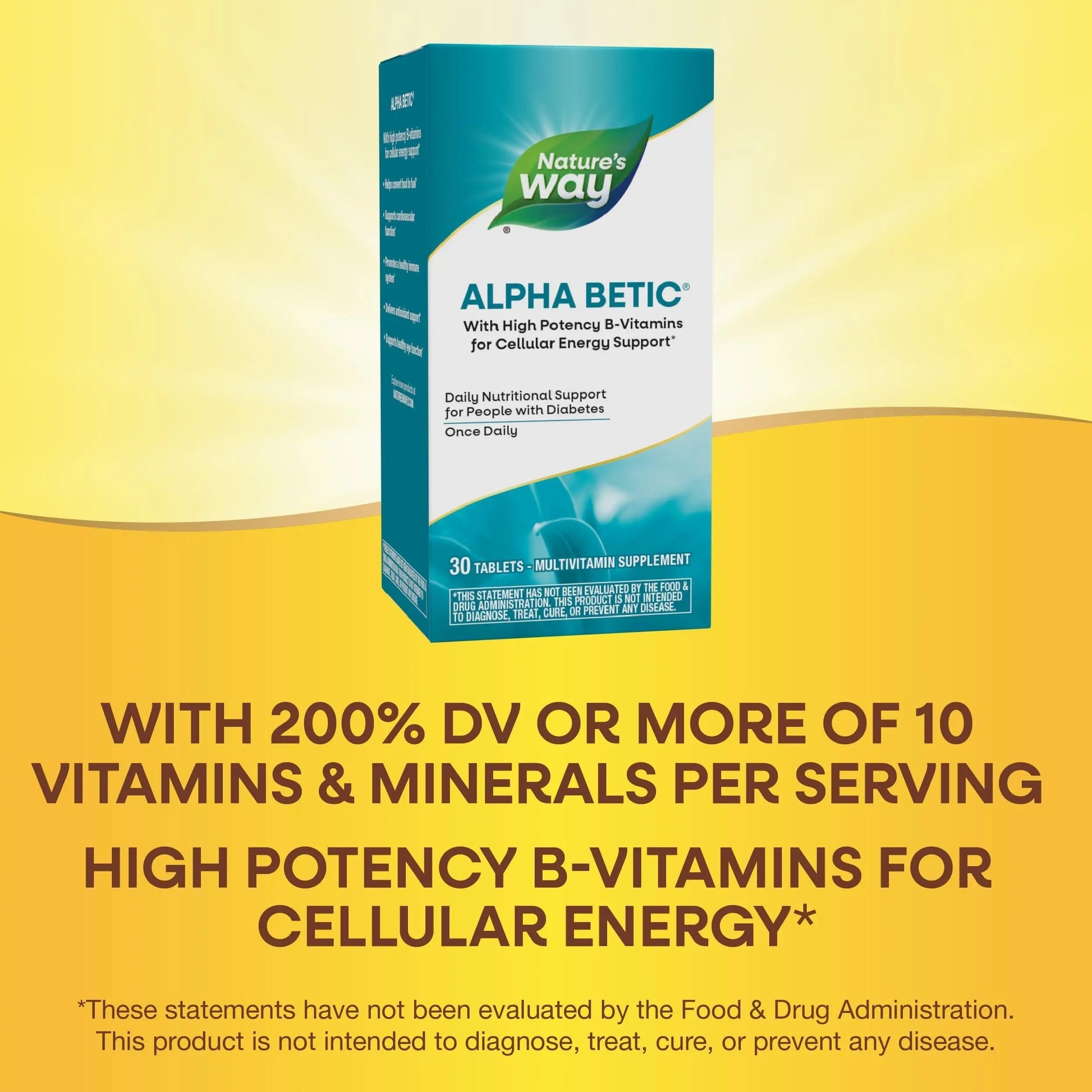 Nature's Way alpha betic, Diabetic Multivitamin for Daily Nutritional Support, with B-Vitamins for Energy Metabolism Support Nature's Way buy supplements canada