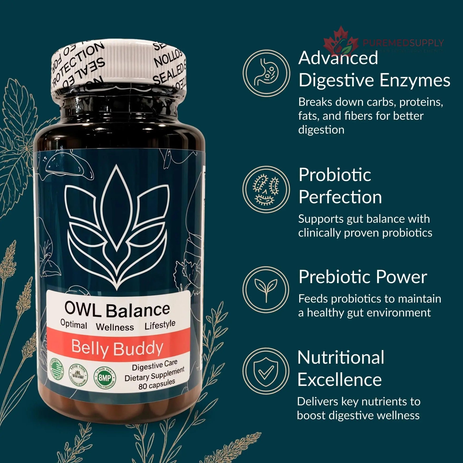 Belly Buddy Advanced Gut Health Support containing a helthy Blend of Probiotics, Prebiotics, and Digestive Enzymes OWL Balance buy supplements canada
