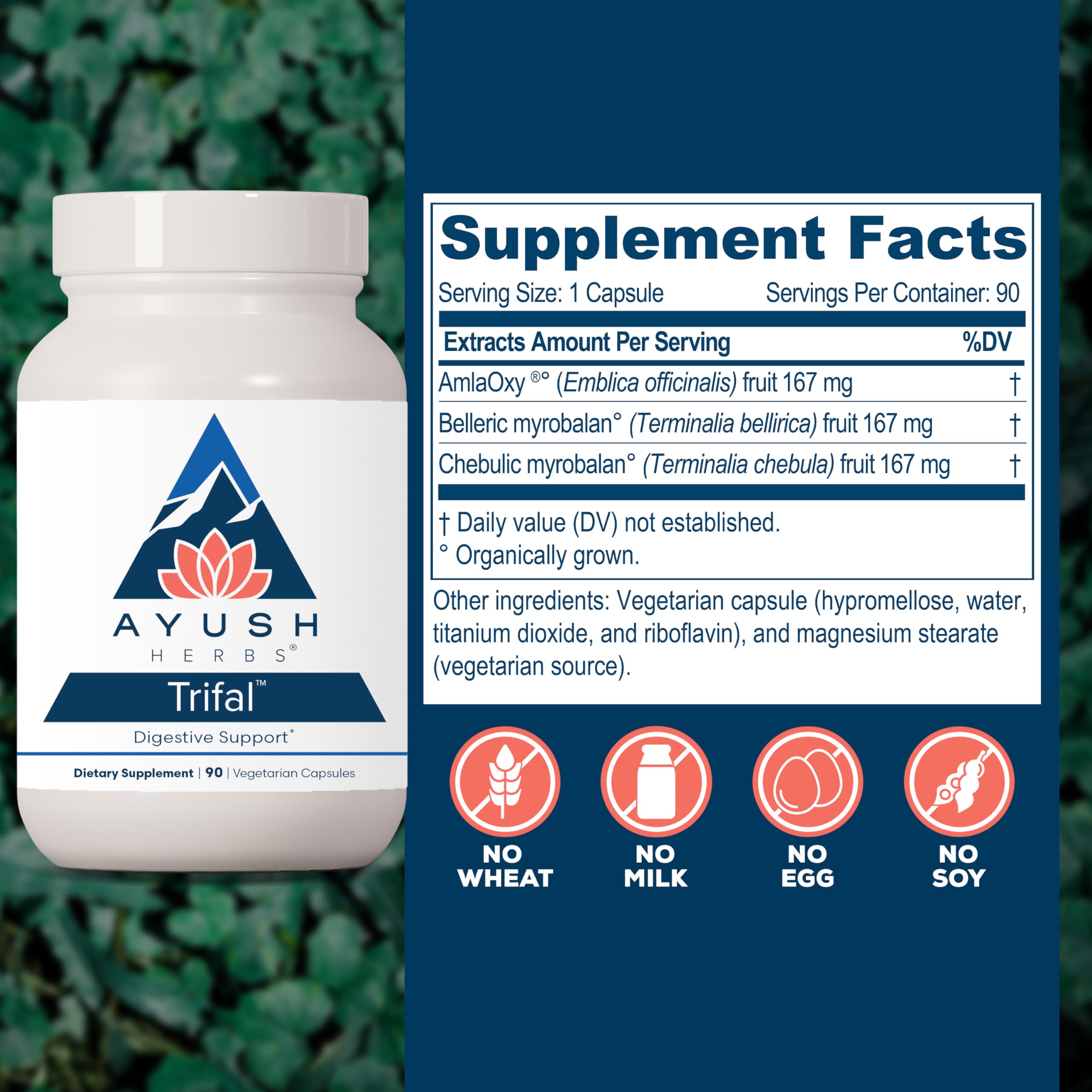 Ayush Herbs Trifal Digestive Support with Amla - Triphala Supplement for Women & Men, Promotes Balanced Digestion, Antioxidant Rich, Made with Organic Ingredients - 90 Vegetarian Capsules (1 Count) Ayush Herbs buy supplements canada