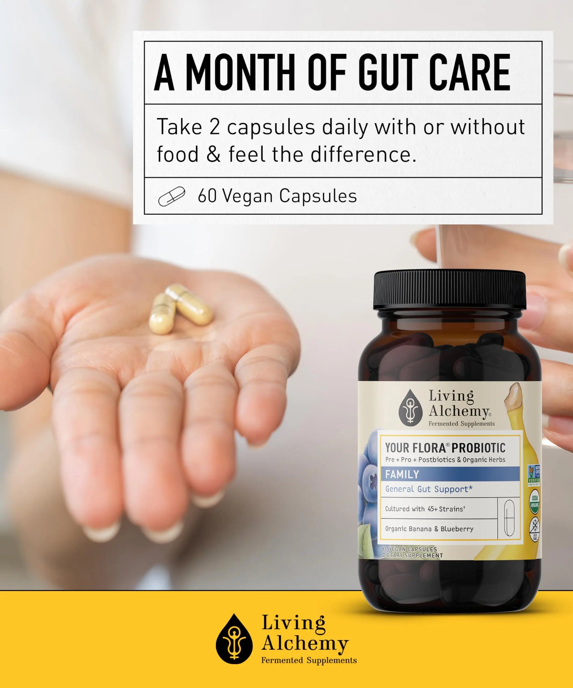 Your Flora Probiotic Family – Non-GMO Probiotics with Fermented Soybean, Banana, & Blueberry for Digestion & Gut Support – Prebiotics, Postbiotics, Digestive Enzymes – Living Alchemy, 60 Capsules Living Alchemy buy supplements canada