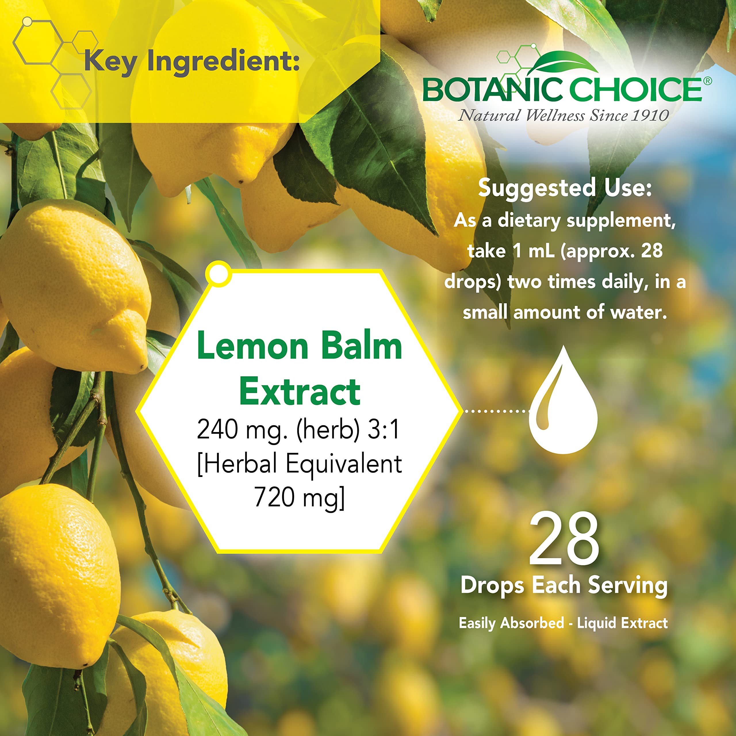 Botanic Choice Mega Fruits and Veggies Blend (60 Capsules) + Lemon Balm Tincture (1 fl oz) Bundle - Energy Balance & Superfood Supplement + Relaxation and Sleep Support Botanic Choice buy supplements canada