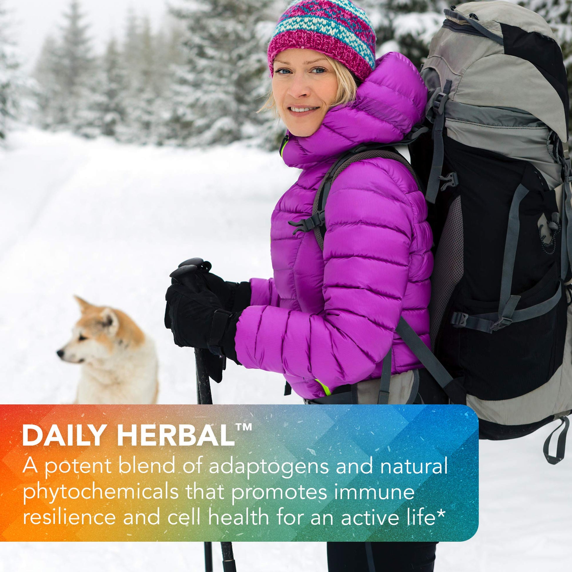 Vital Plan Daily Herbal Supplement by Dr. Bill Rawls – Herbal Immunity Booster for Immune Support, Microbiome Balance & Cell Health — Reishi Mushroom, Turmeric & Rhodiola Vital Plan buy supplements canada